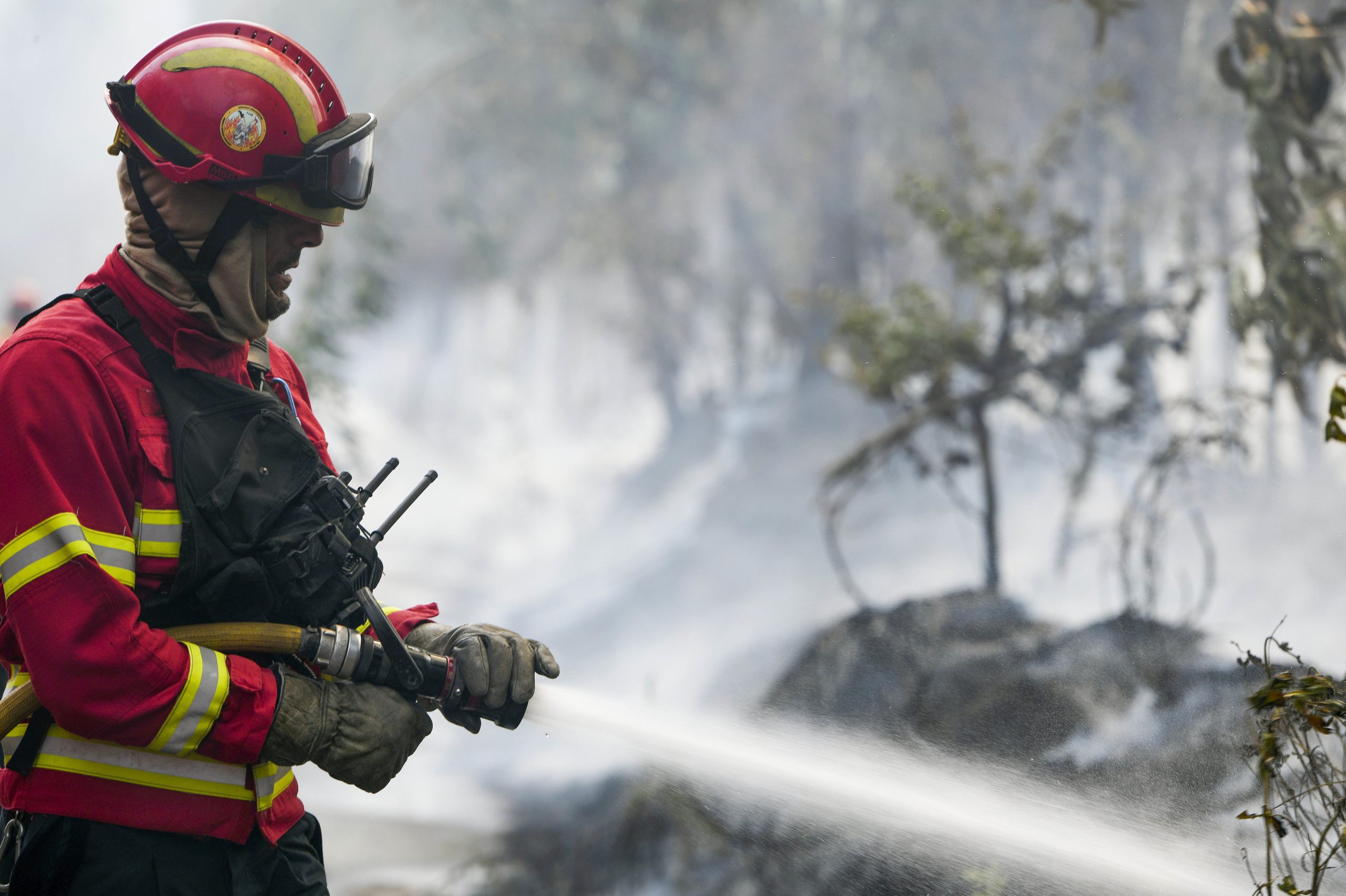 Incêndios no centro do país mobilizam milhares de efetivos este fim de semana