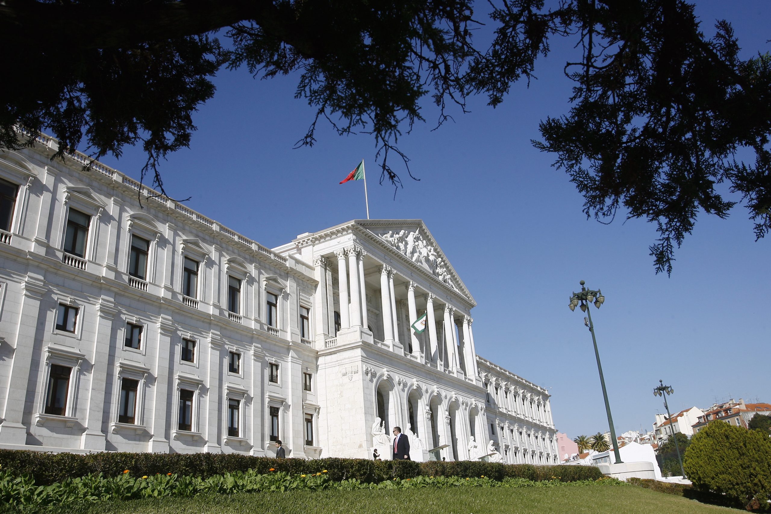 Eleições na bancada parlamentar do PSD marcadas para 3 de abril