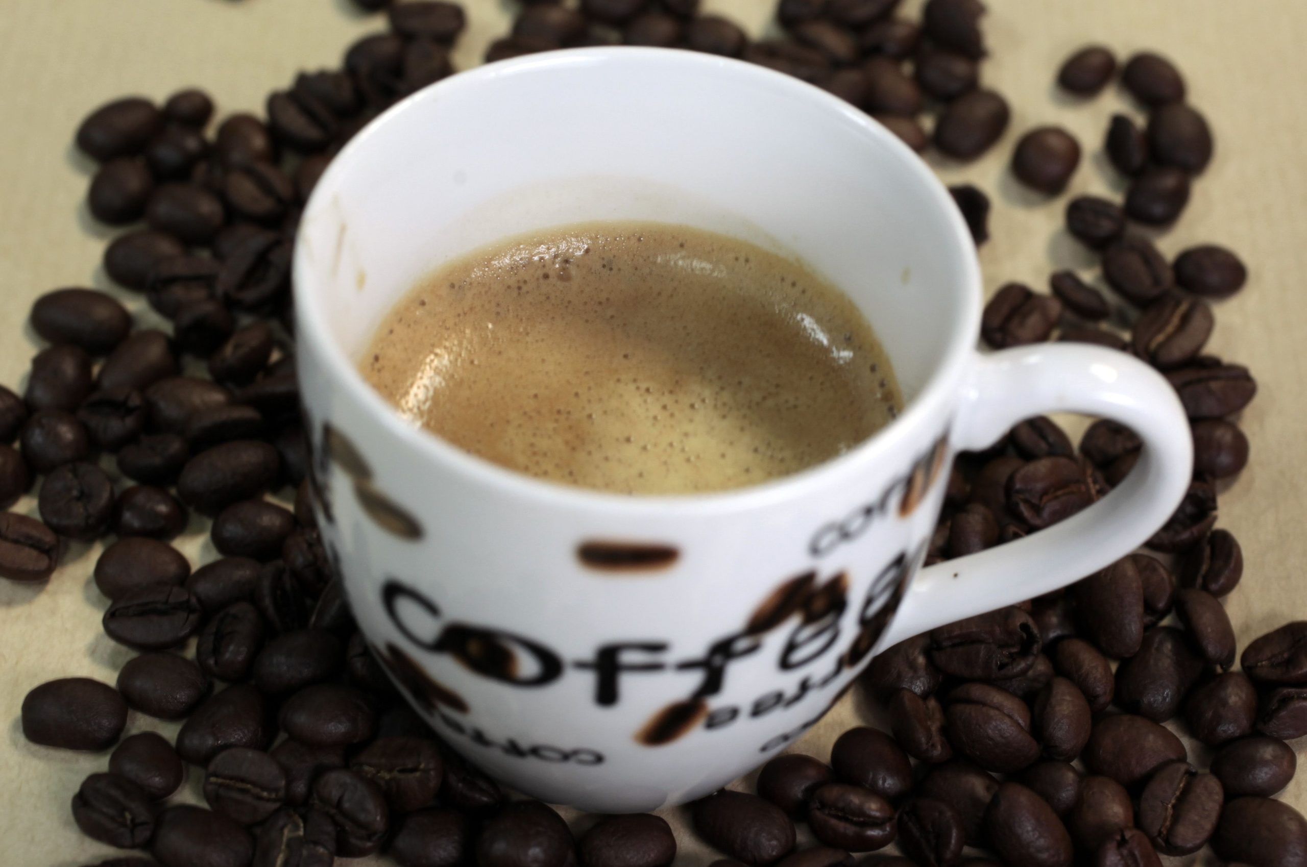 Café histórico Oásis completa 70 anos de atividade na Alta de Coimbra