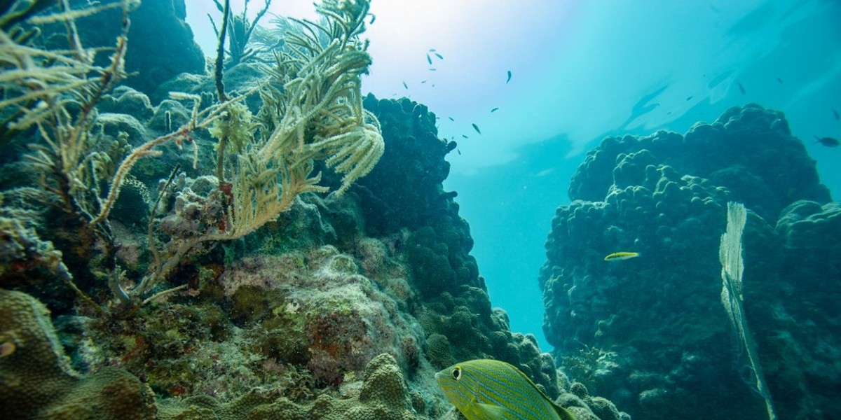 Água do Mediterrâneo nunca esteve tão quente e isso torna-o um barril de pólvora