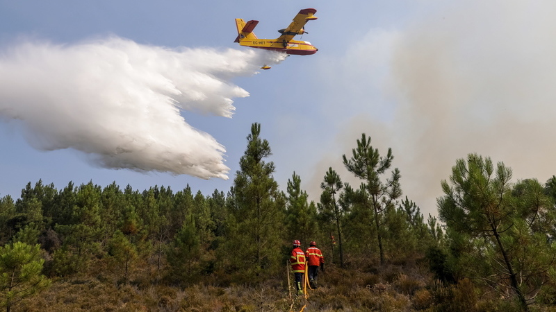 Incêndios: Avaliação ao maior fogo de 2019 aponta falha na mobilização dos meios aéreos