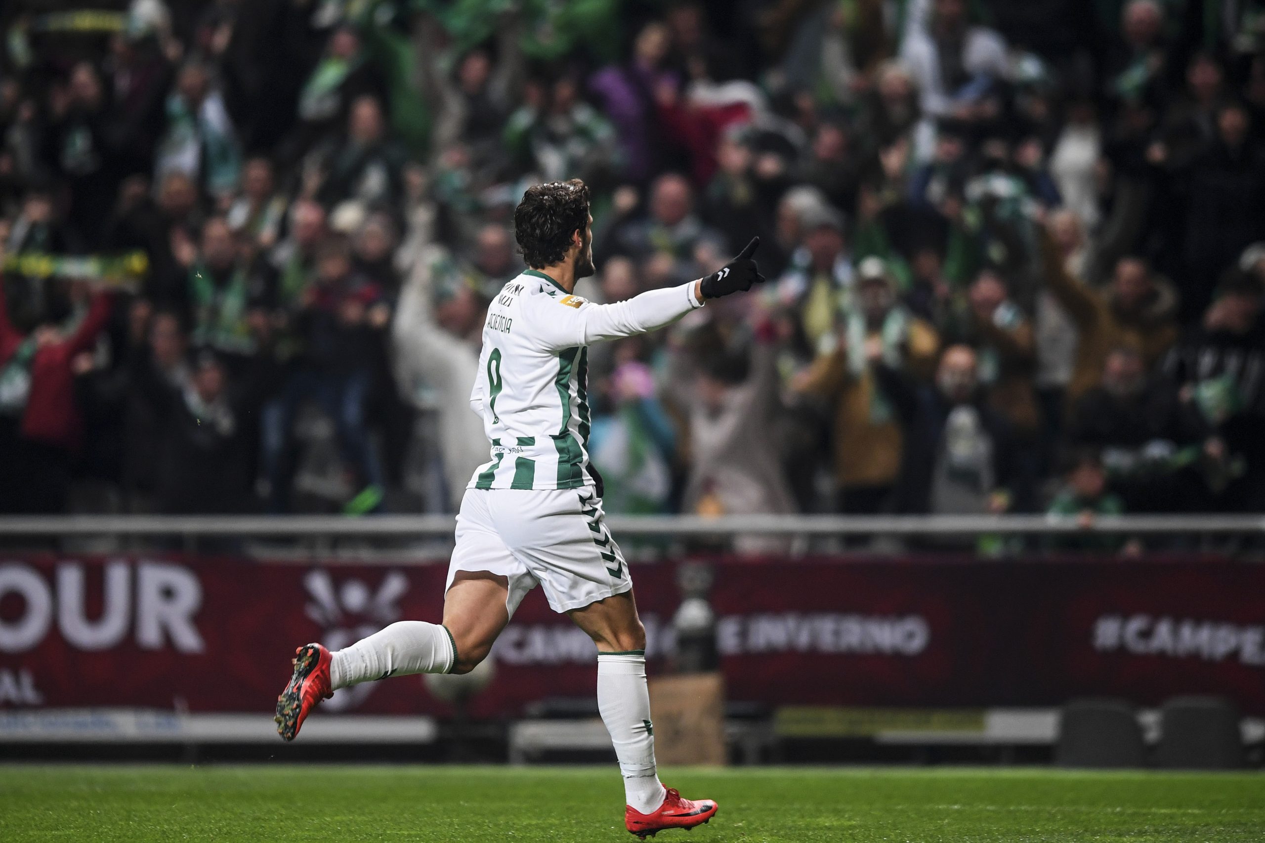 Mercado a fechar: FC Porto, o cirúrgico