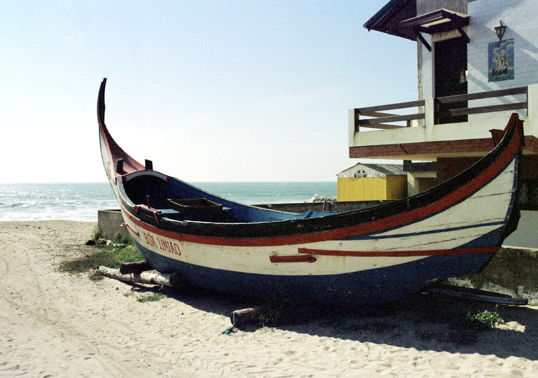 Praia de Ovar coberta de peixes mortos devido a acidente com barco de pesca