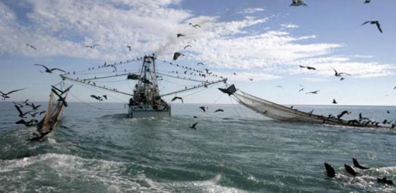 Cortes para Portugal nas capturas de pescada, linguado e lagostim menores do que proposto