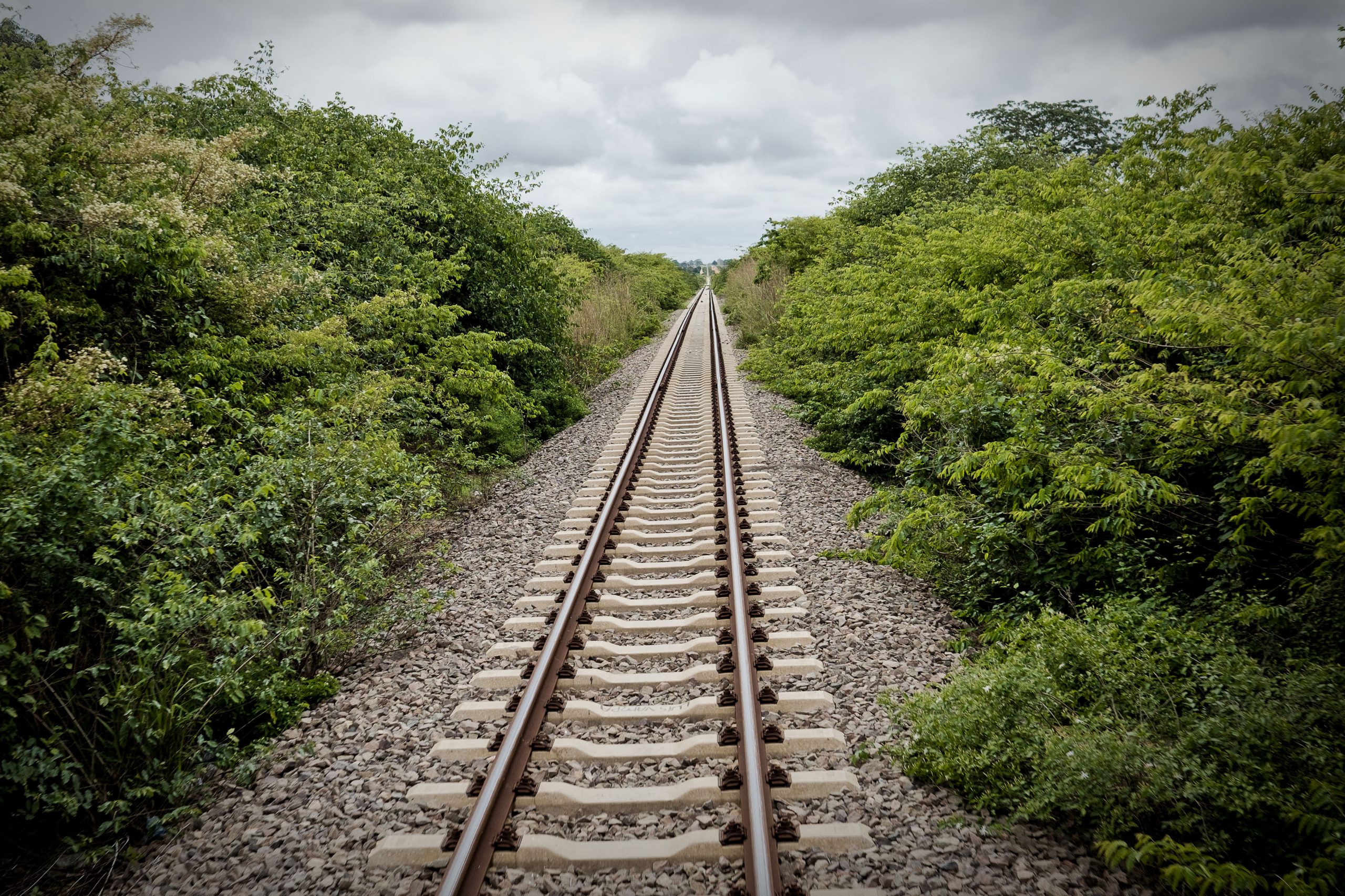 Governo vai lançar concursos para troço ferroviário entre Évora e Elvas no início de 2018