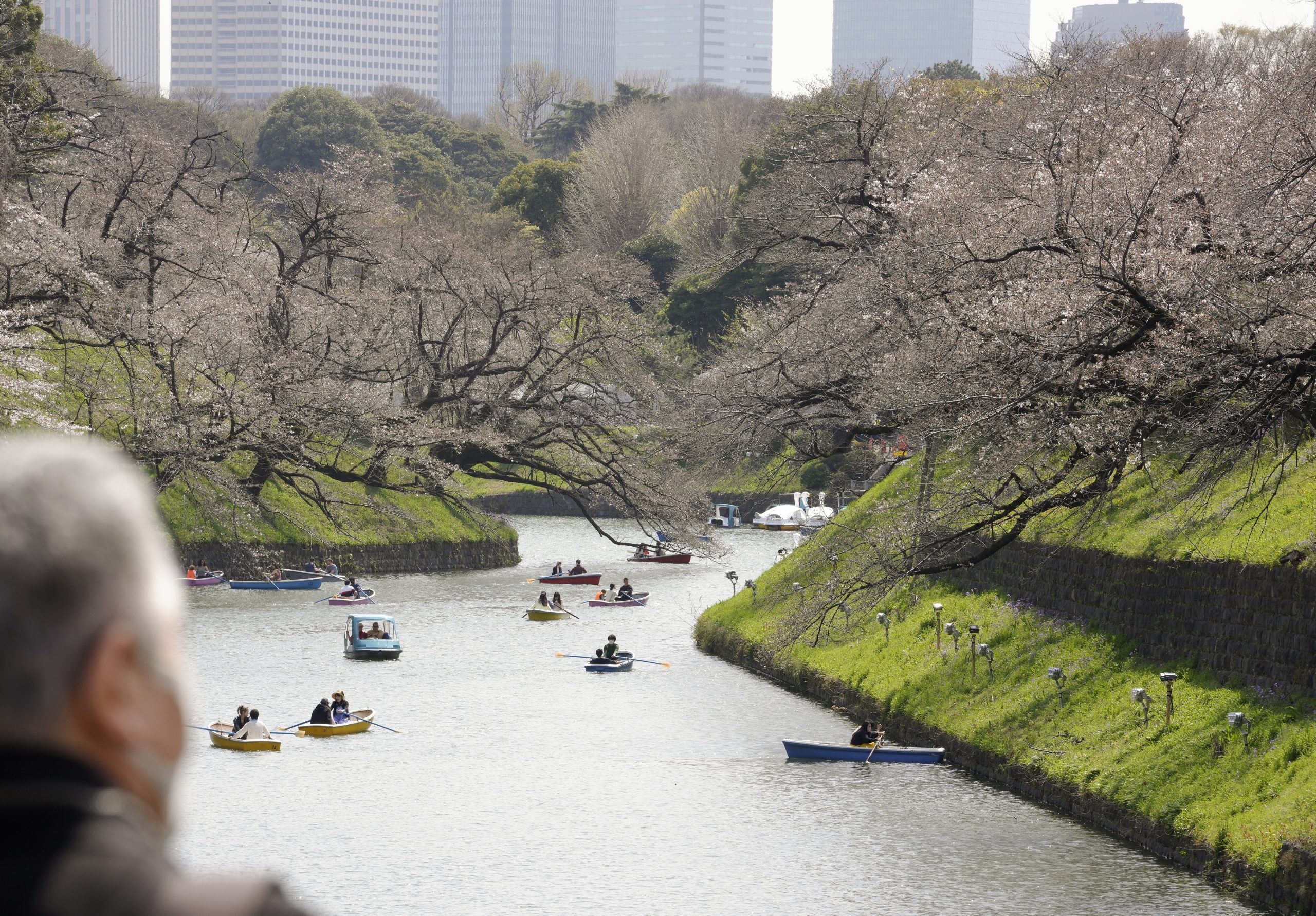 Um em cinco agregados familiares no Japão com idosos a viver sozinhos em 2050