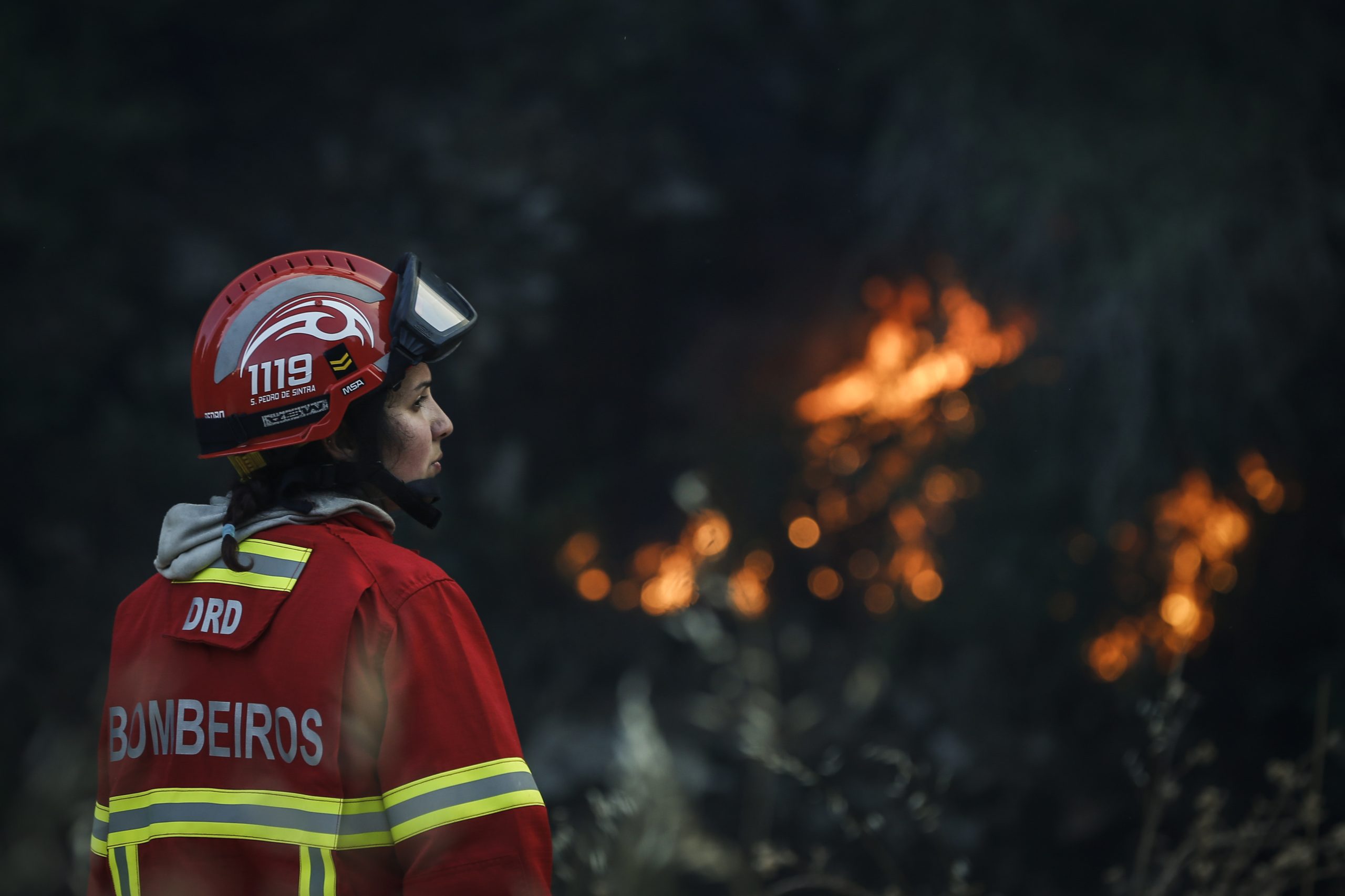 Incêndios: Fogo em Valongo deverá estar dominado “nas próximas horas”