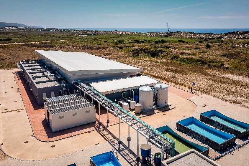 Oceano Fresco: cultivar amêijoas em mar aberto para uma alimentação sustentável