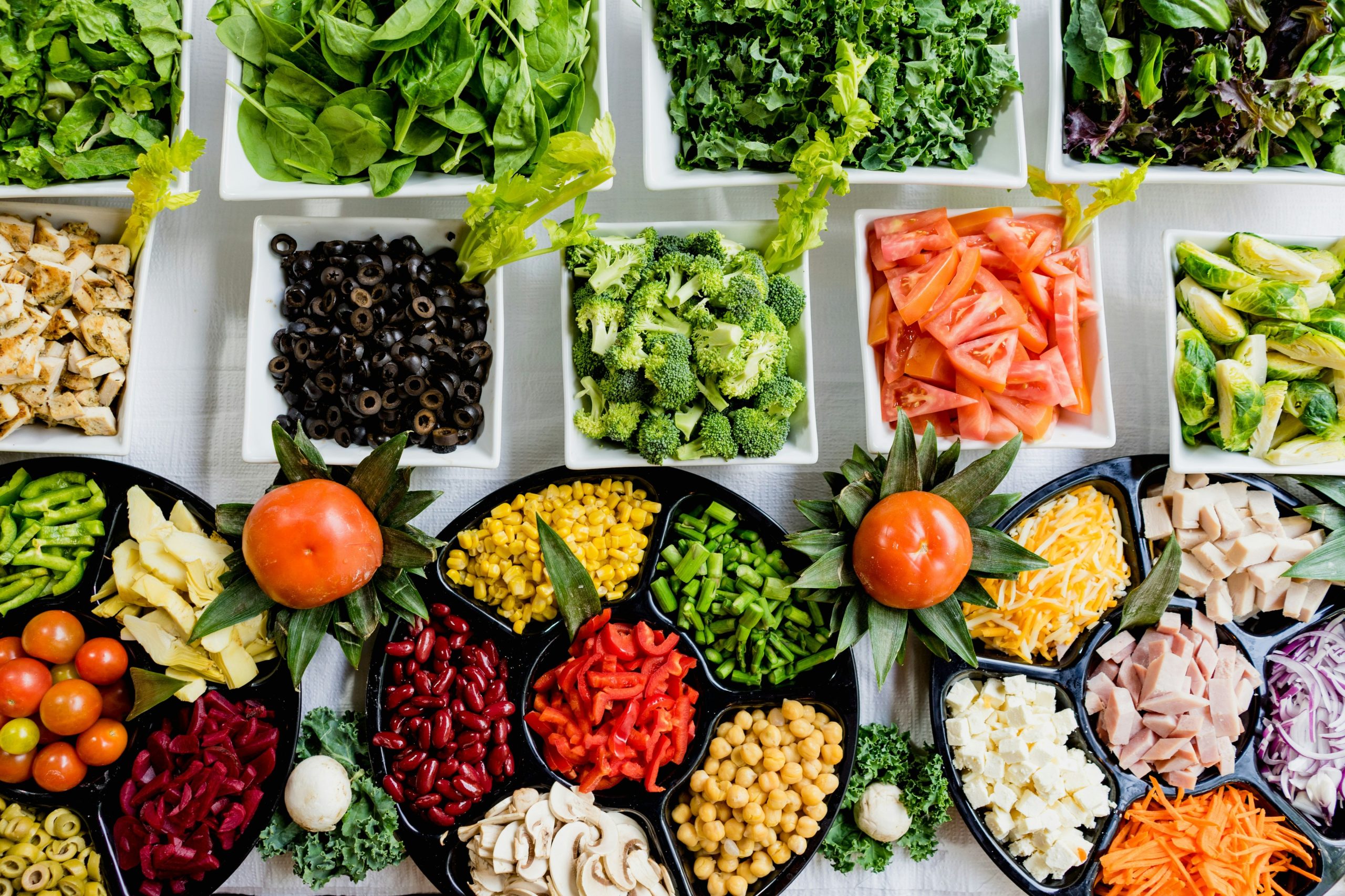 “Como Sobreviver sem Carne e Outros Milagres Inexplicáveis”. Entre vegetarianos, veganos e flexitarianos