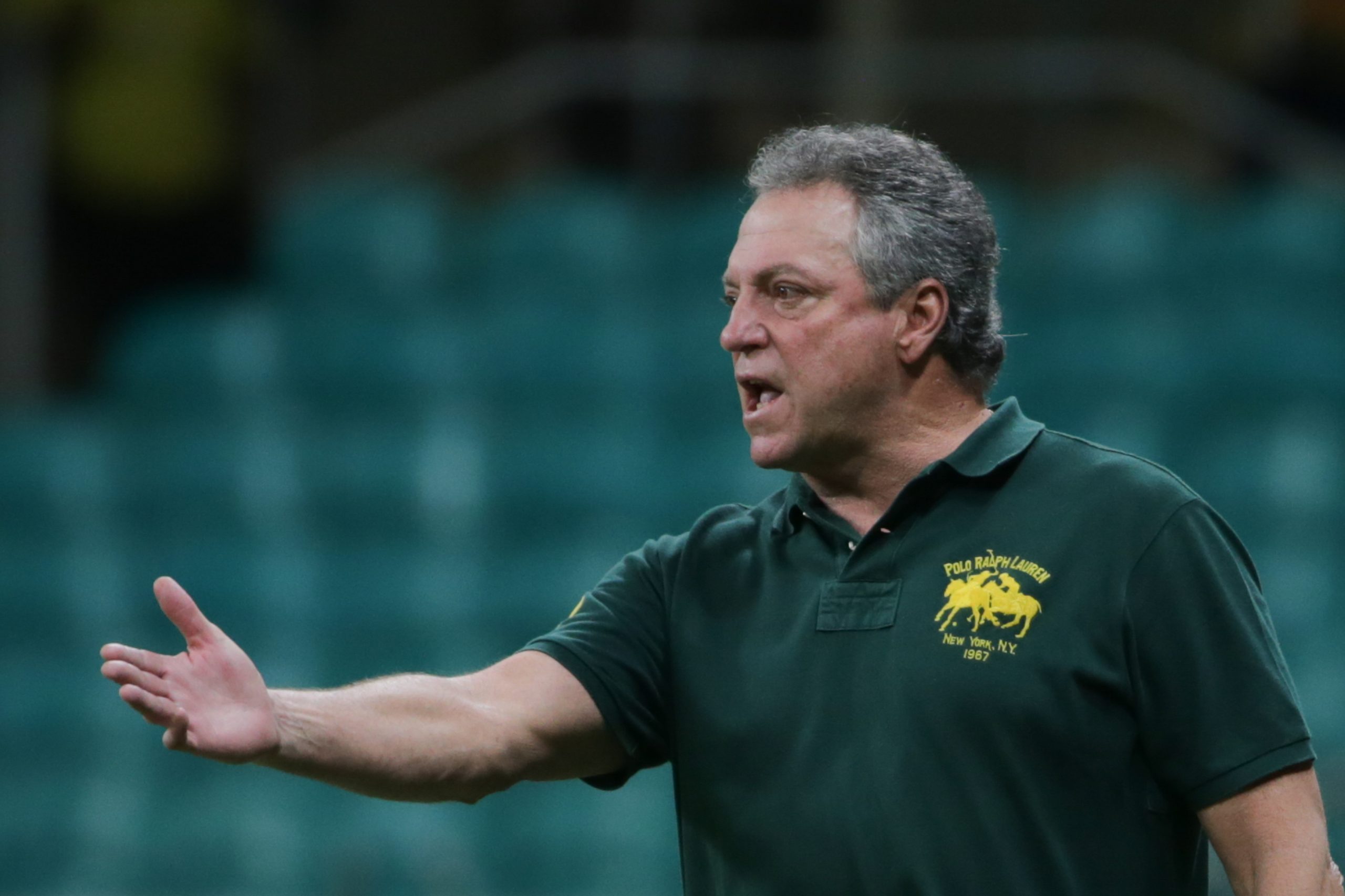 Brasileirão: Abel Braga renasce na reta final