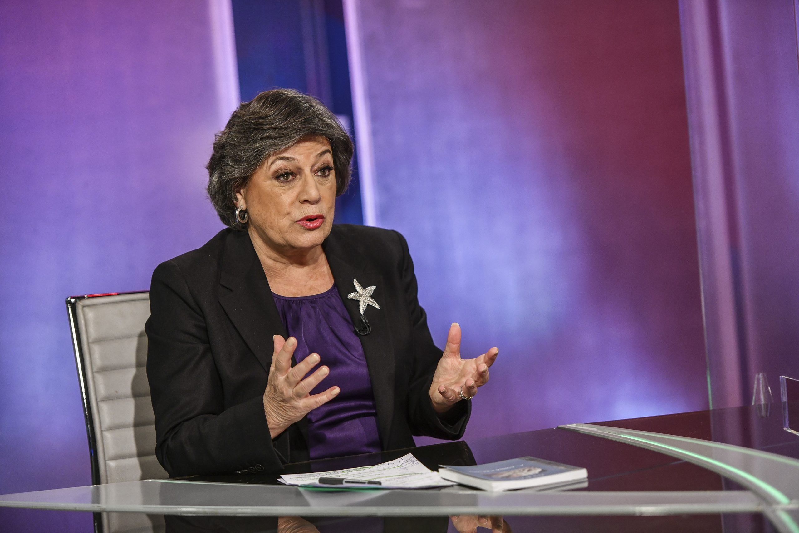 Ana Gomes condenada por difamar Mário Ferreira terá de pagar multa e indemnizar empresário