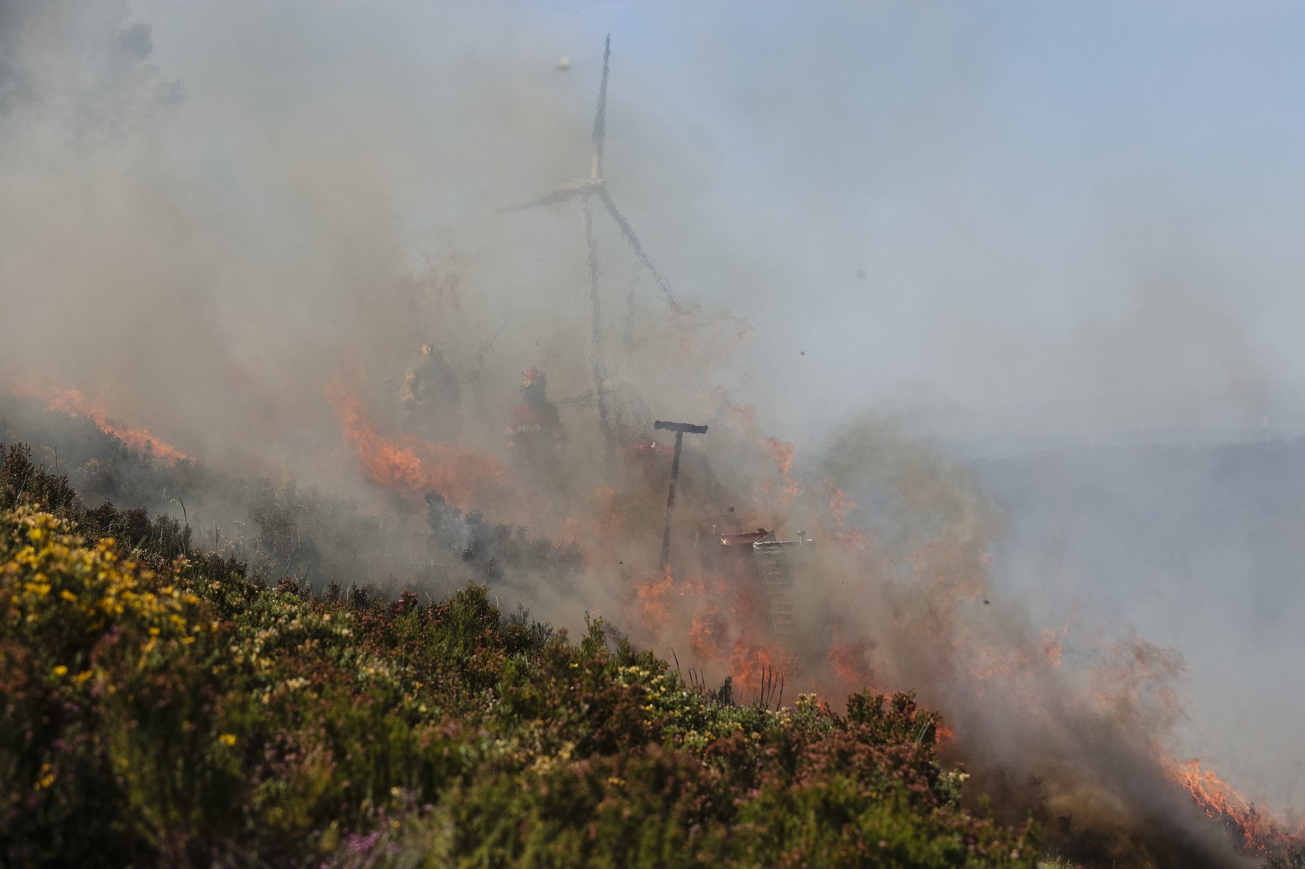 Incêndios: Investigação aponta falhas ao piloto e à Everjets na queda de helicóptero