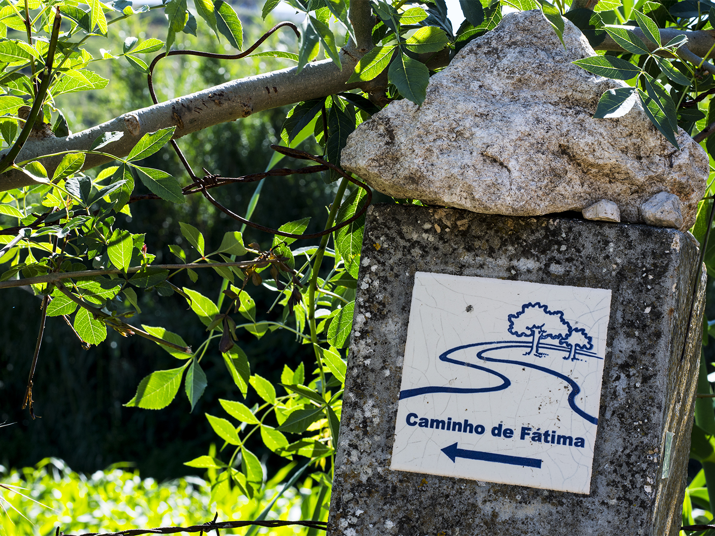 Credencial do peregrino dos Caminhos de Fátima disponível a partir de segunda-feira