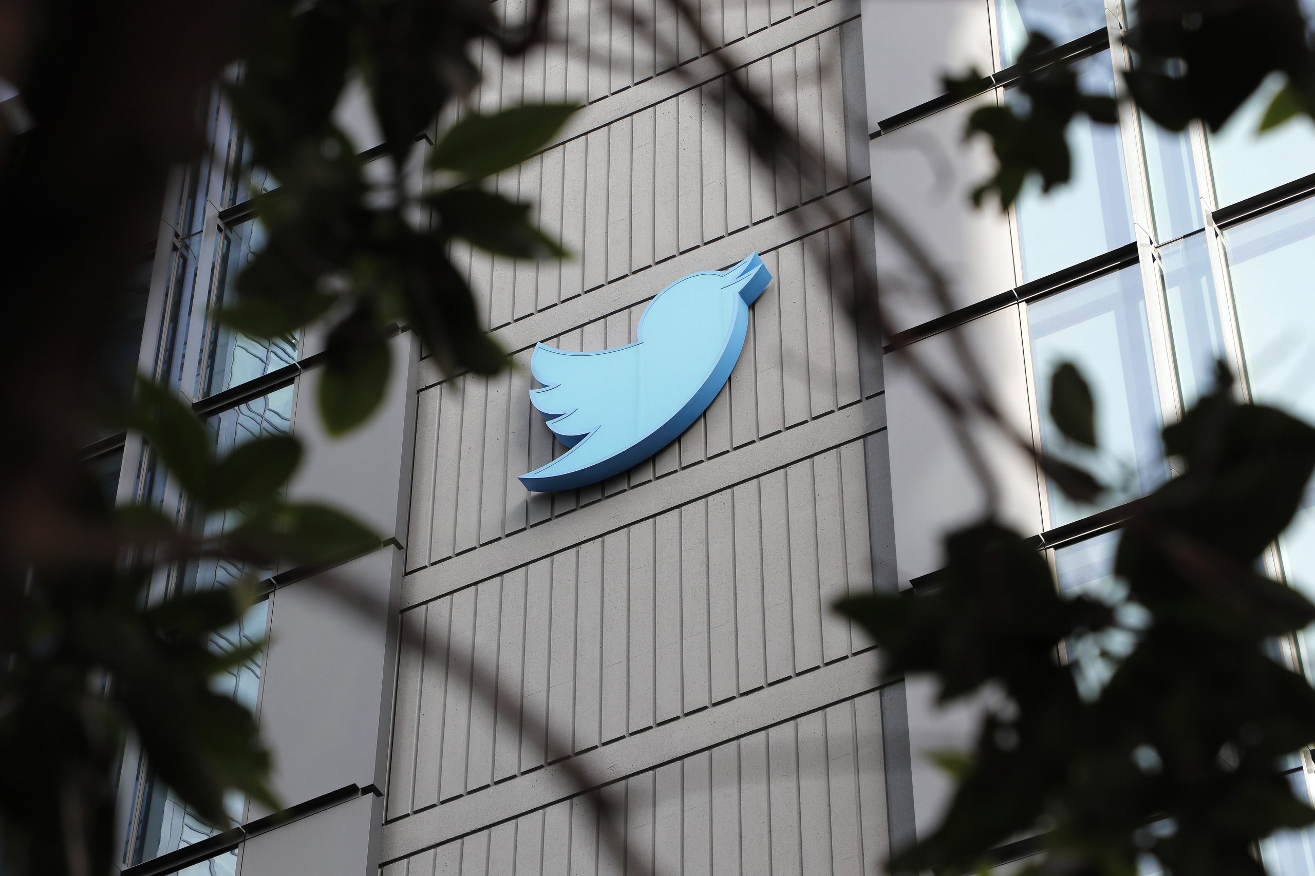 Bitchat. Criador do Twitter lança aplicação de mensagens offline