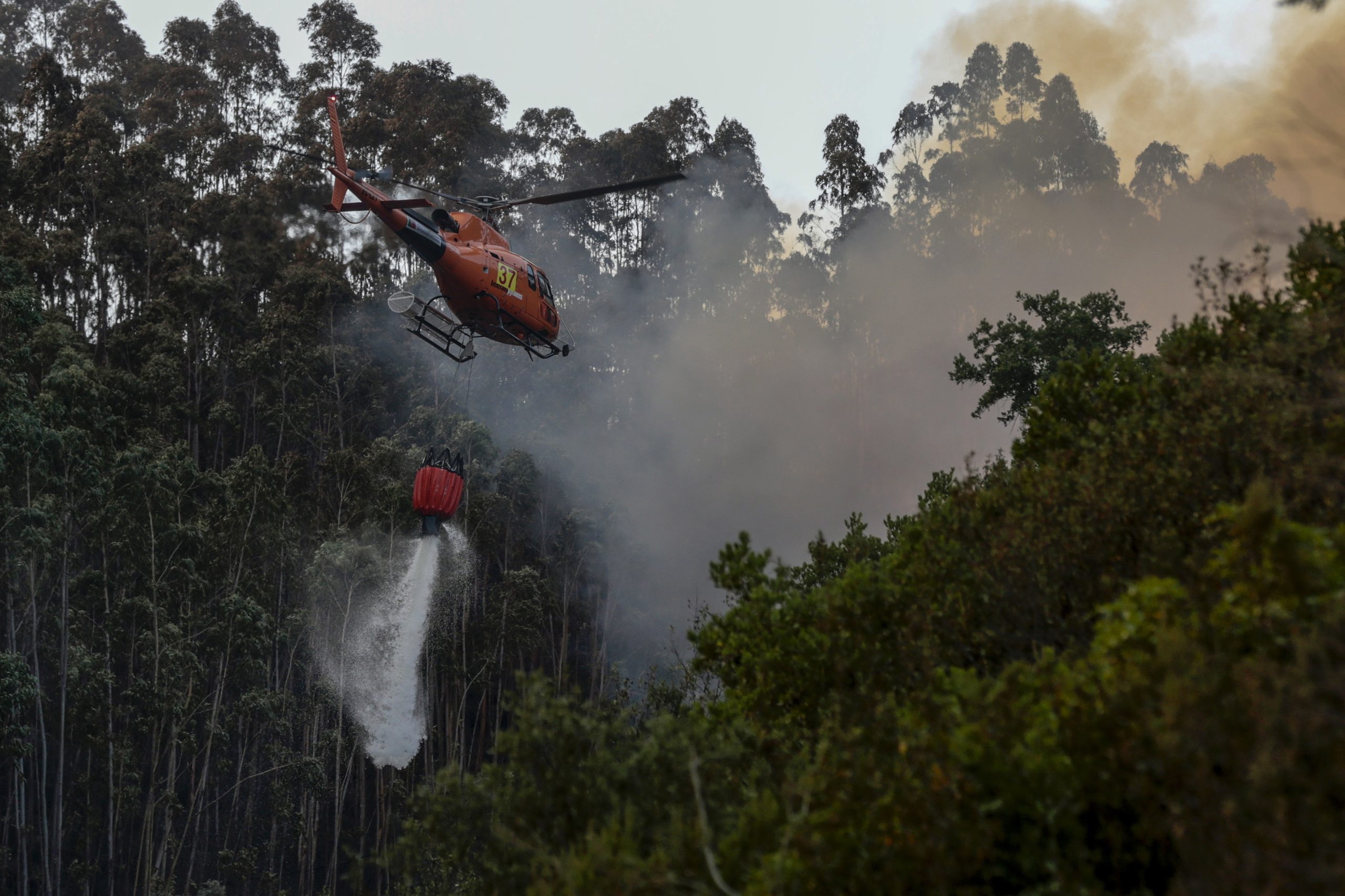 Incêndios: Mais de 700 bombeiros continuam a combater chamas em Monchique