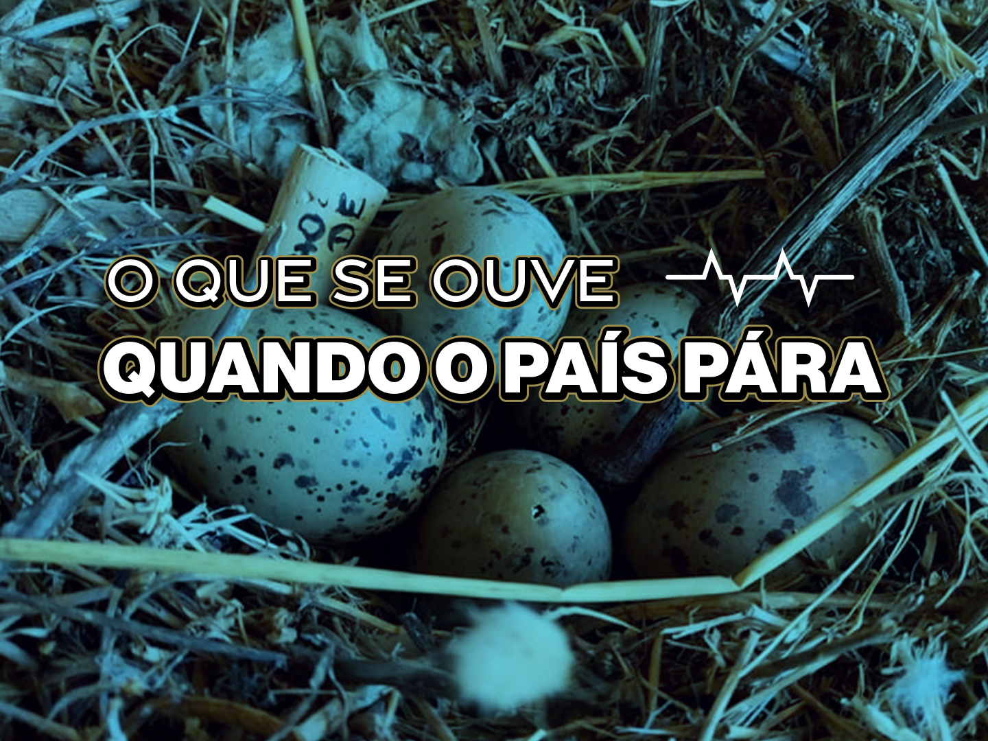 Episódio 5: Eles já lá estavam, mas quando nos fechámos em casa é que os vimos melhor