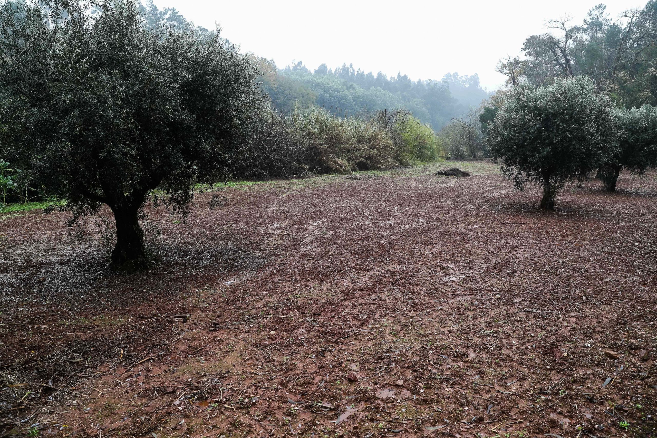 Venda de terrenos para construção ao Estado ou autarquias isenta de mais-valias