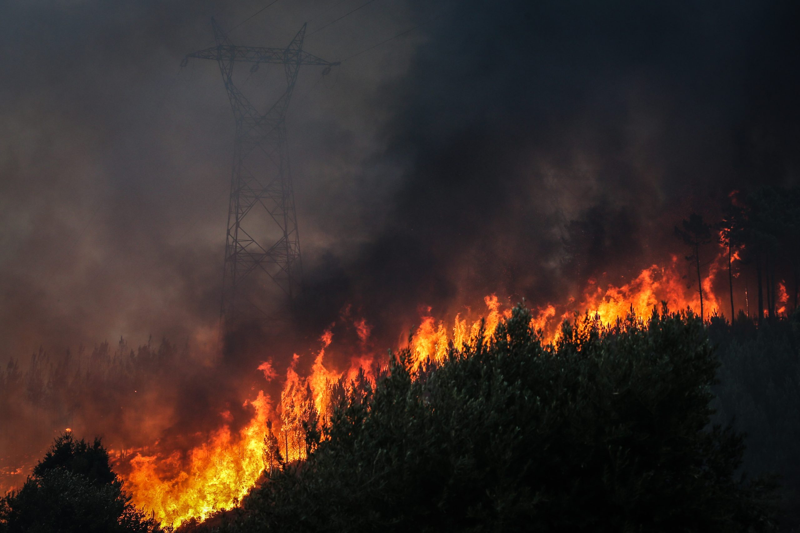Mais de 700 operacionais combatem fogo em Abrantes