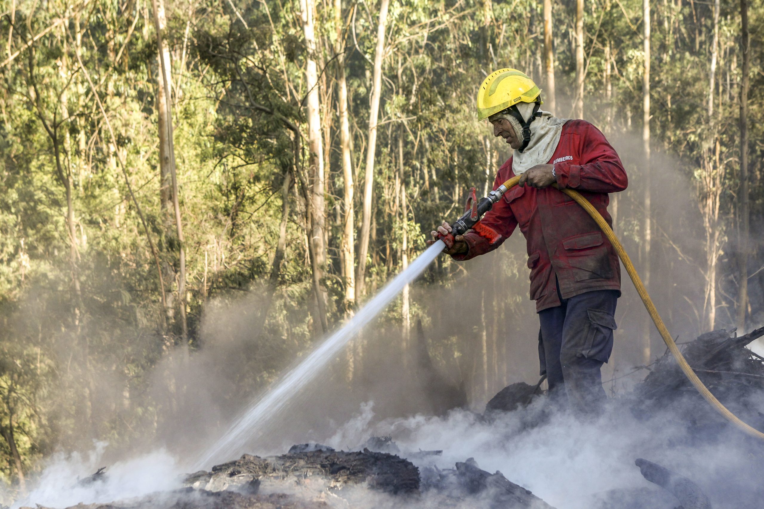 Incêndios: Fogo na Madeira entrou em fase de rescaldo