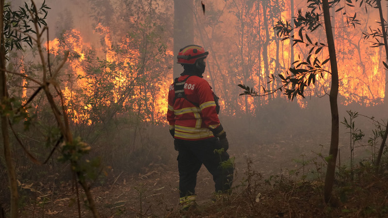 Fogo em Oliveira de Azeméis já se encontra em resolução