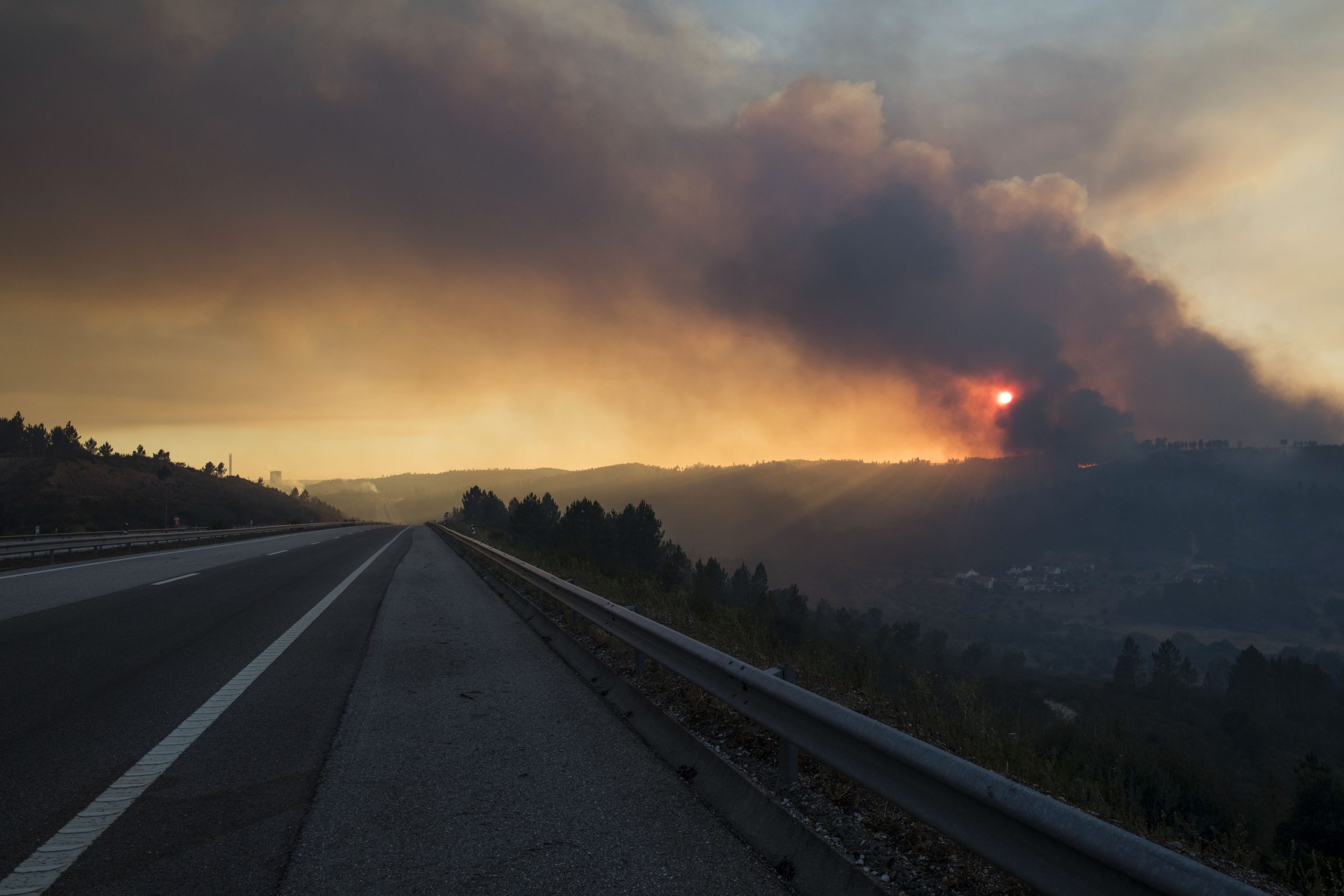 Incêndios: Polícia Judiciária deteve suspeito de atear fogo florestal em Amarante