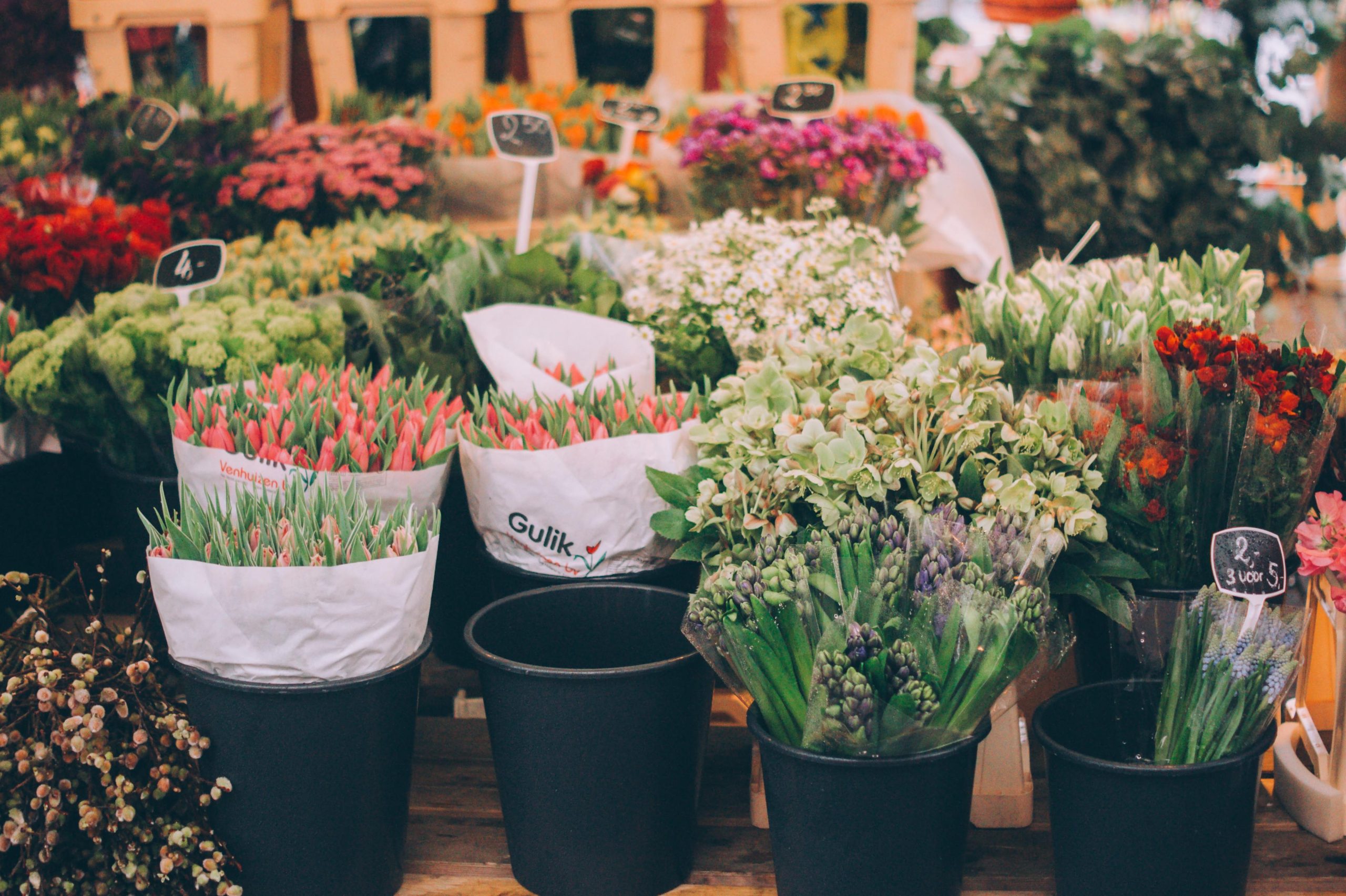 Produtores obrigados a “deitar ao lixo toneladas” de flores e plantas.  “É uma quebra quase de 100 %”