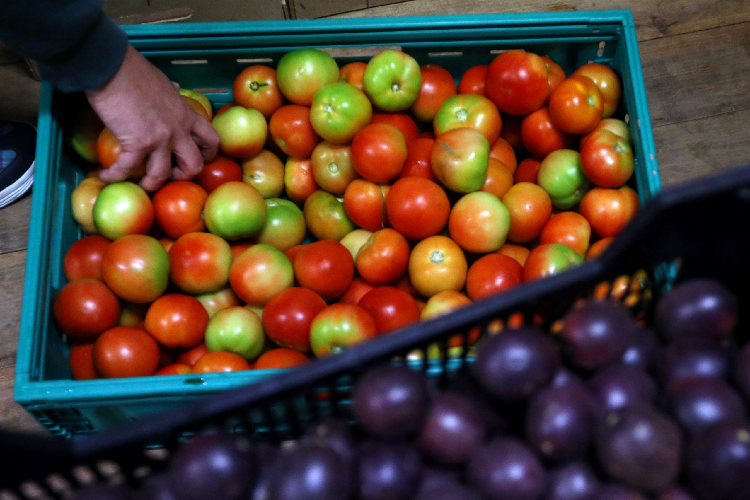 Projeto Fruta Feia tirou duas mil toneladas do lixo. E entregou 1 milhão de euros aos agricultores parceiros