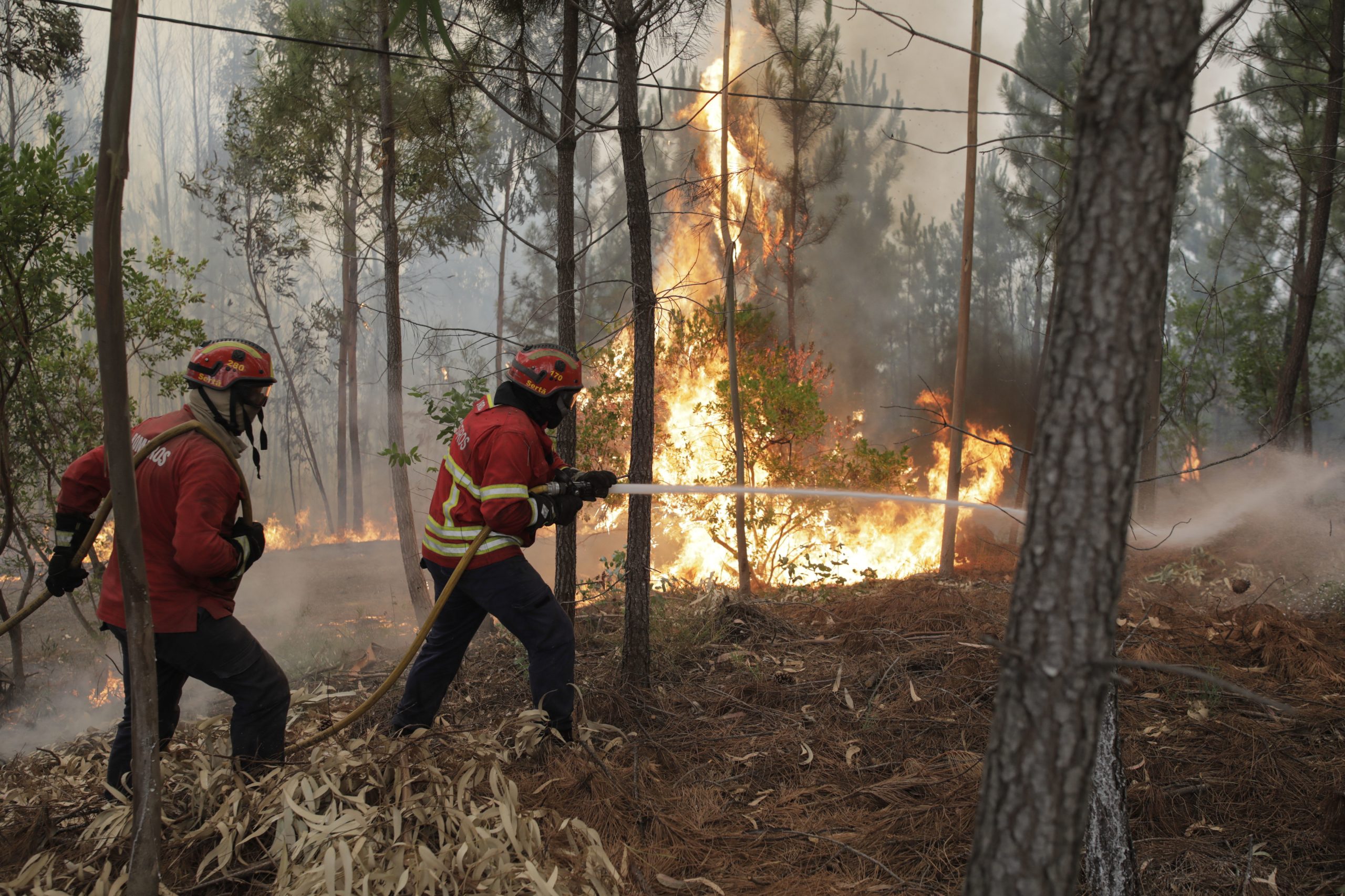 Fogo na Sertã combatido por 239 operacionais e 15 meios aéreos