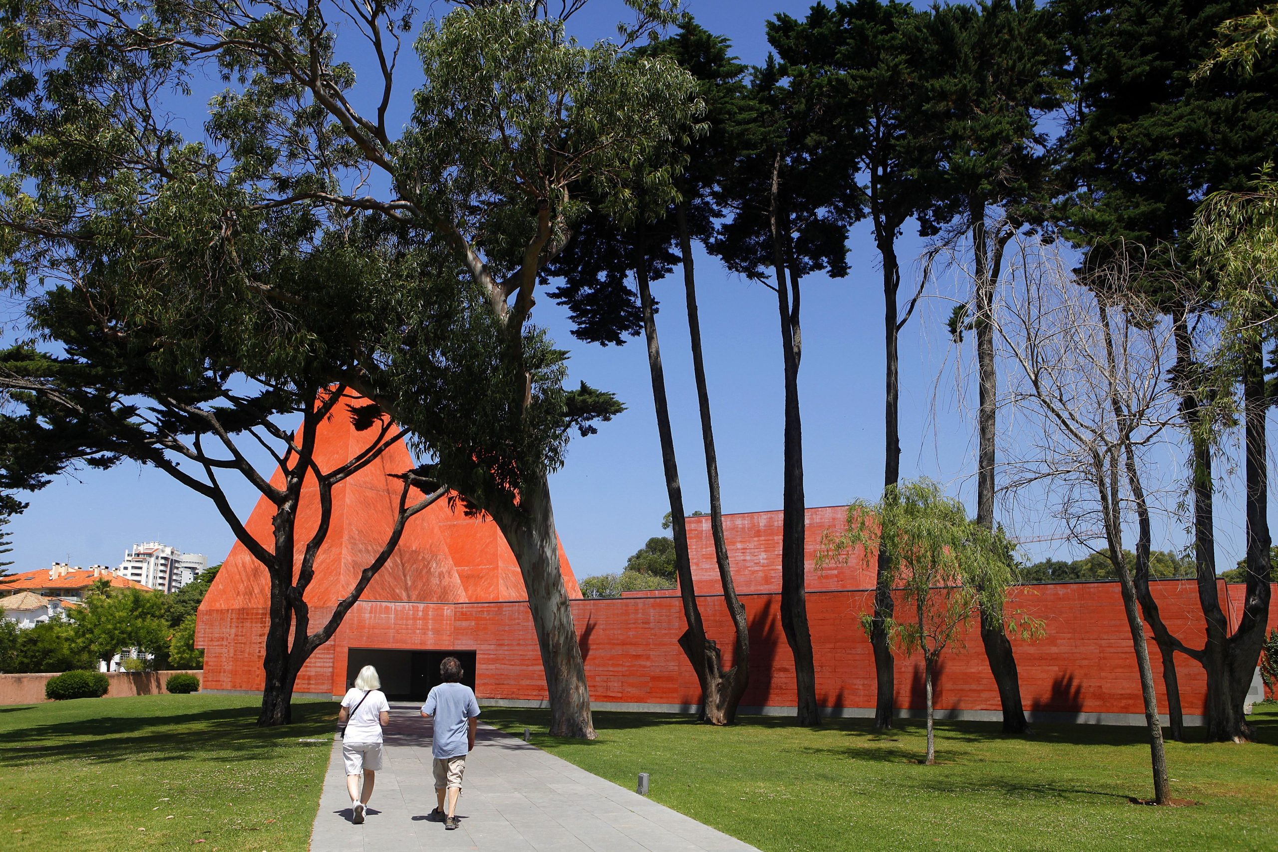 Paula Rego: Câmara de Cascais decreta dia de luto municipal esta quinta-feira