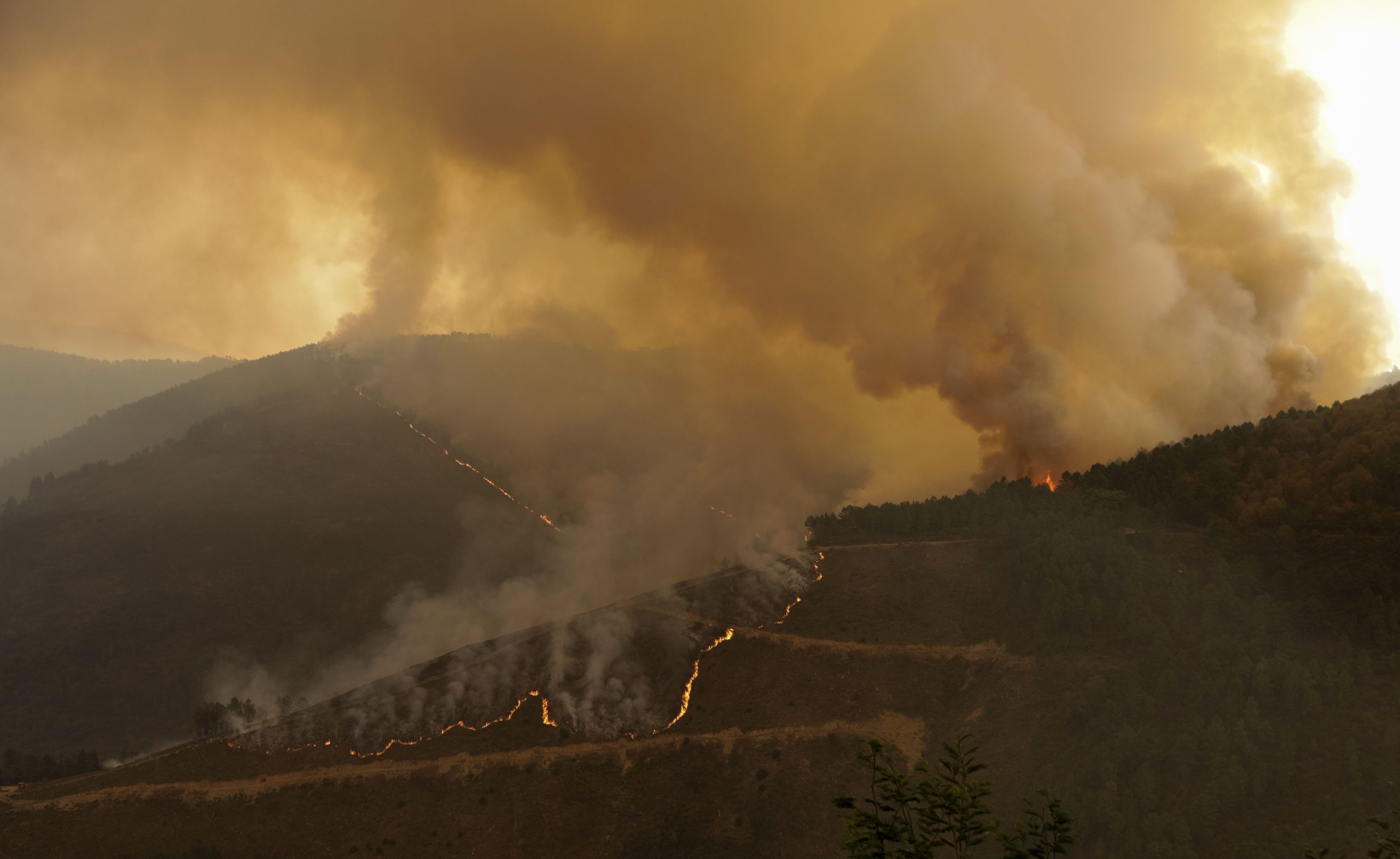 Incêndios: Doentes internados no Rovisco Pais, Cantanhede, concentrados num único pavilhão