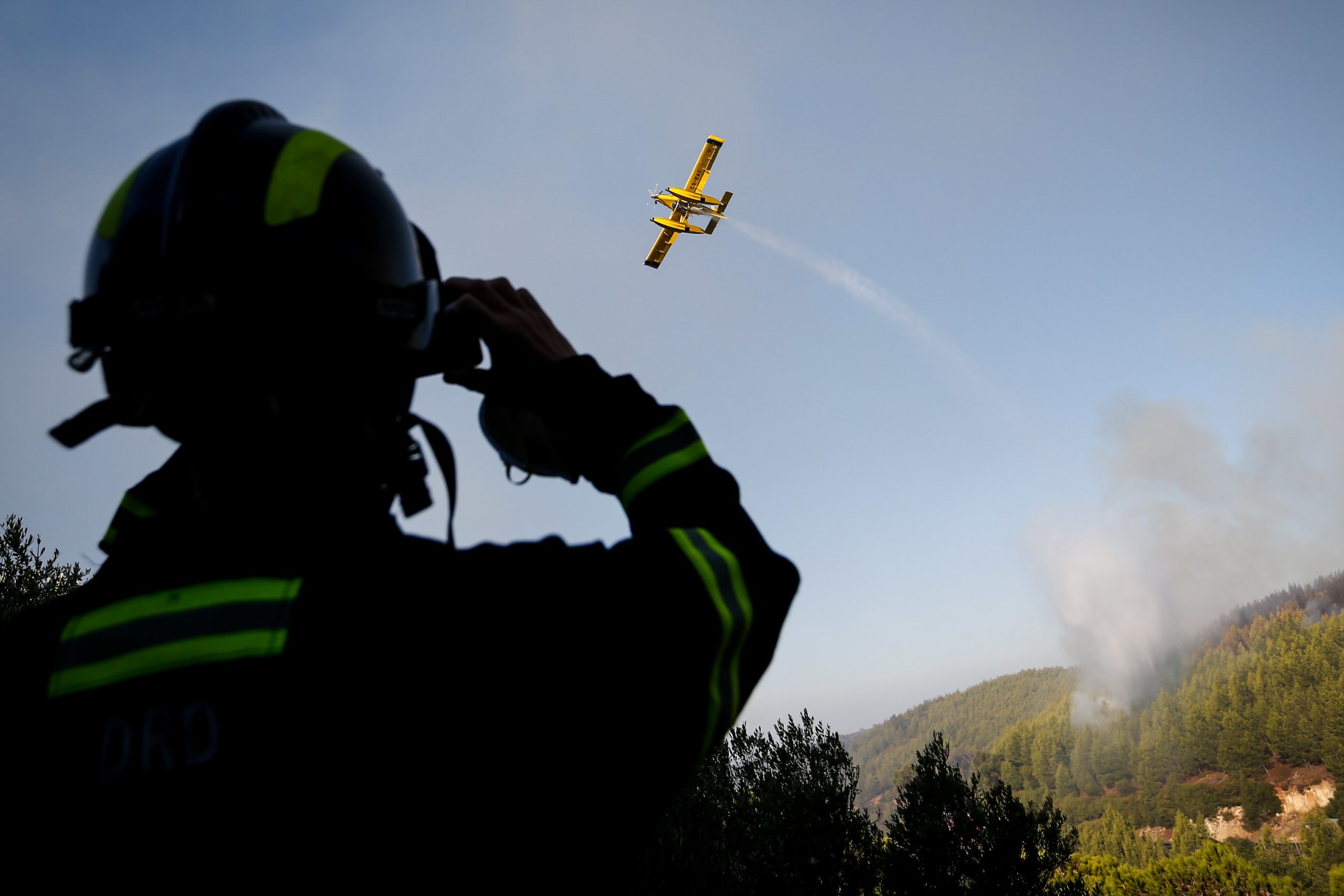 Incêndios. Reflorestação do Parque Natural de Sintra-Cascais tem início no sábado
