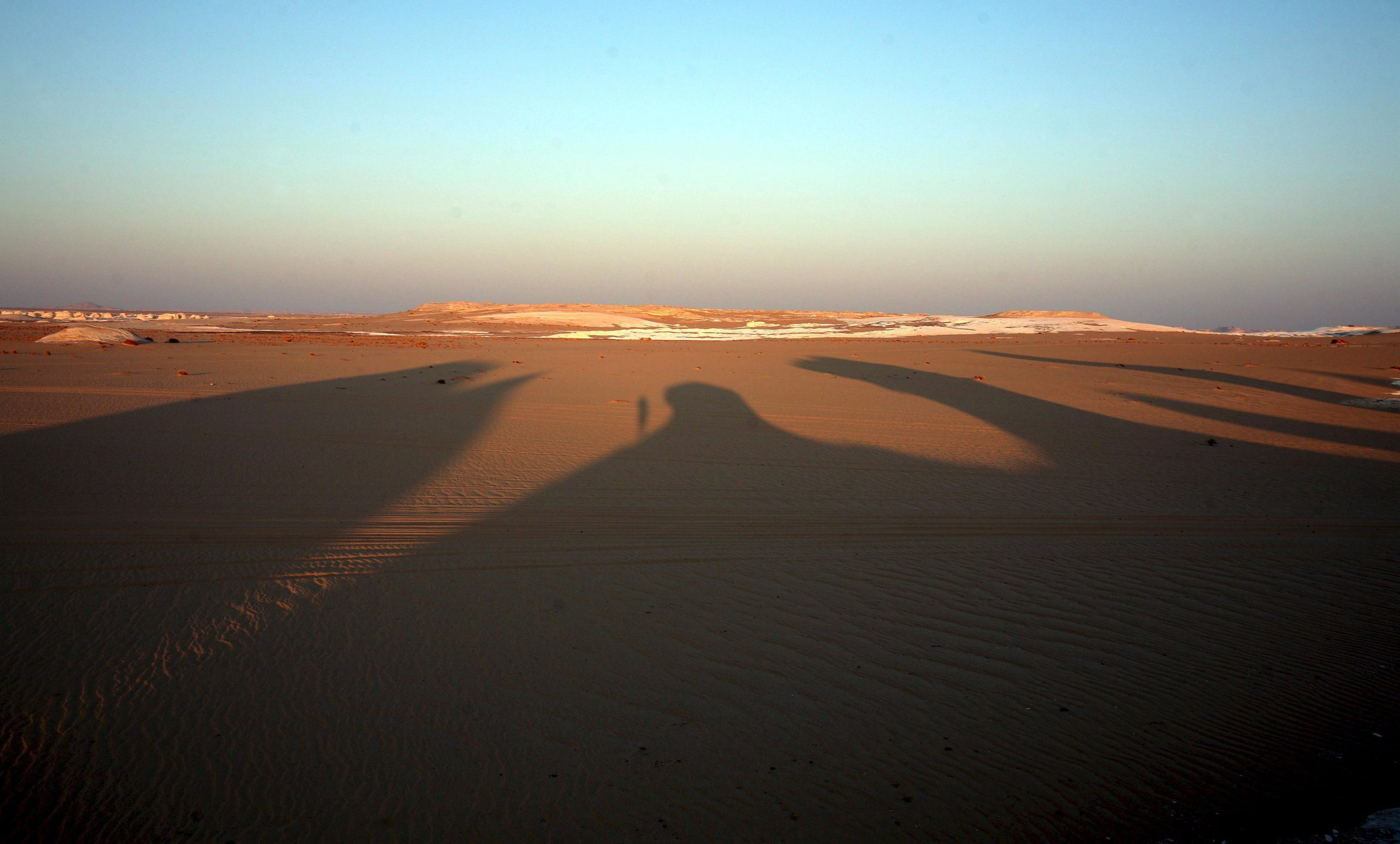 Arqueólogo sugere que mudança de paisagem verdejante para o deserto árido do Saara pode ter tido ação humana