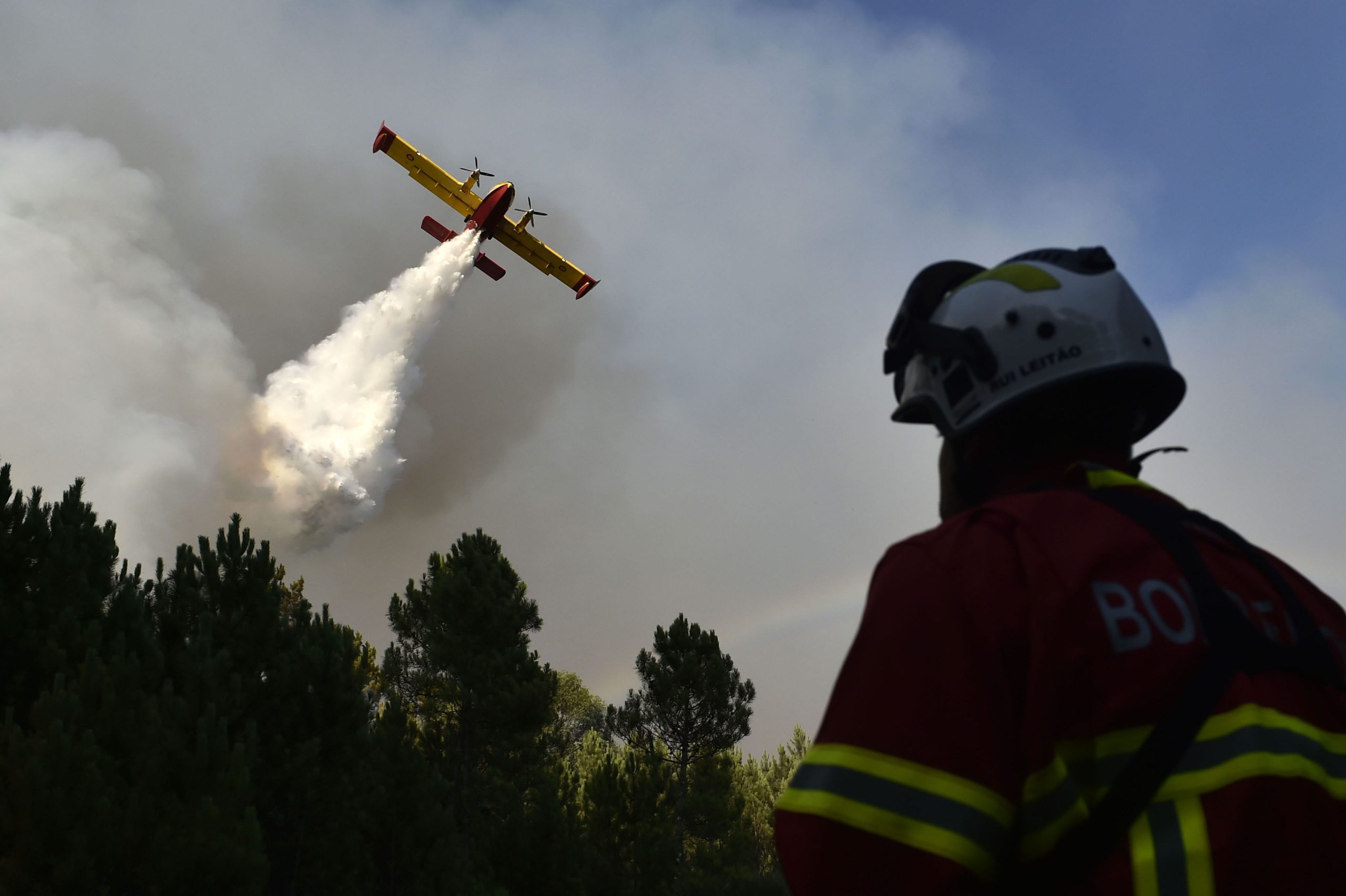 Incêndios: Amaragem de avião que combatia fogo em Tomar provocou apenas danos materiais