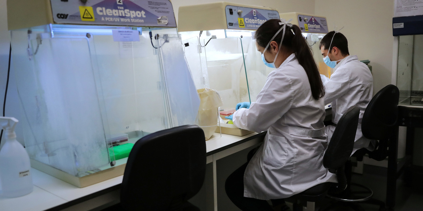 Investigadores vão criar próteses inteligentes para prevenir acidentes cardiovasculares