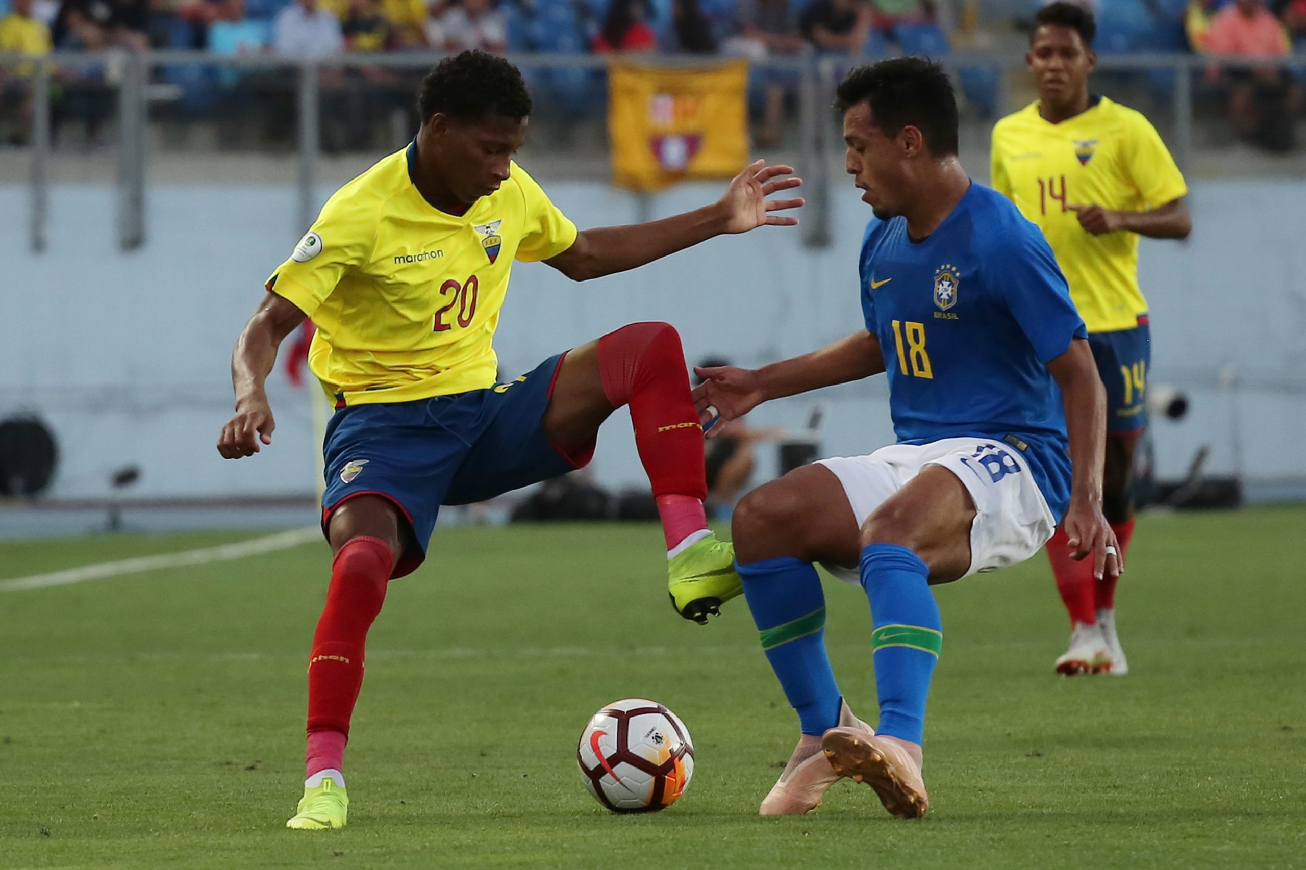 Gonzalo Plata estreia-se nos convocados do Sporting