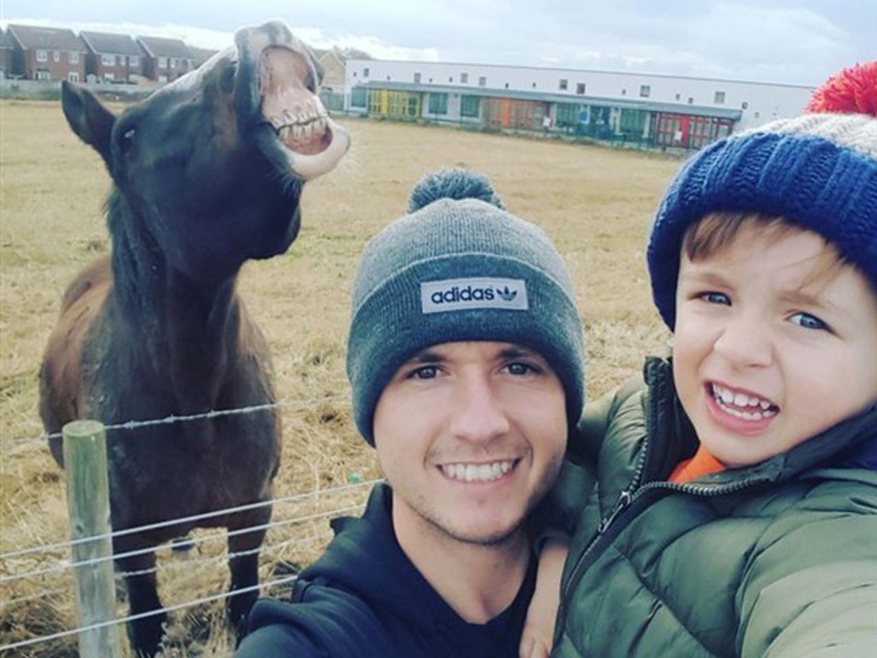 Nem sempre é bom sorrir para as fotografias… Este cavalo que o diga