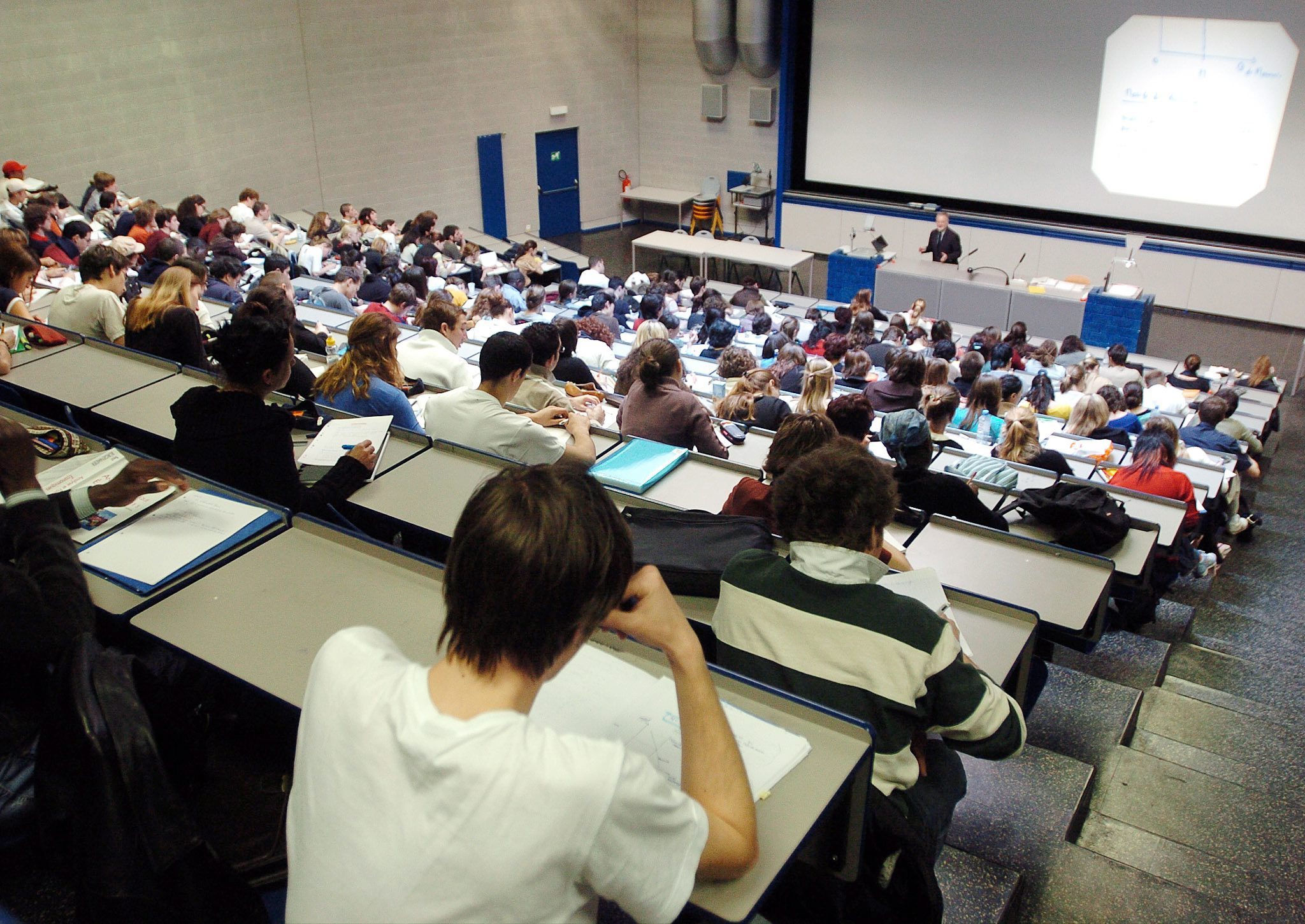 Professores de línguas vivas temem ficar sem emprego no próximo ano