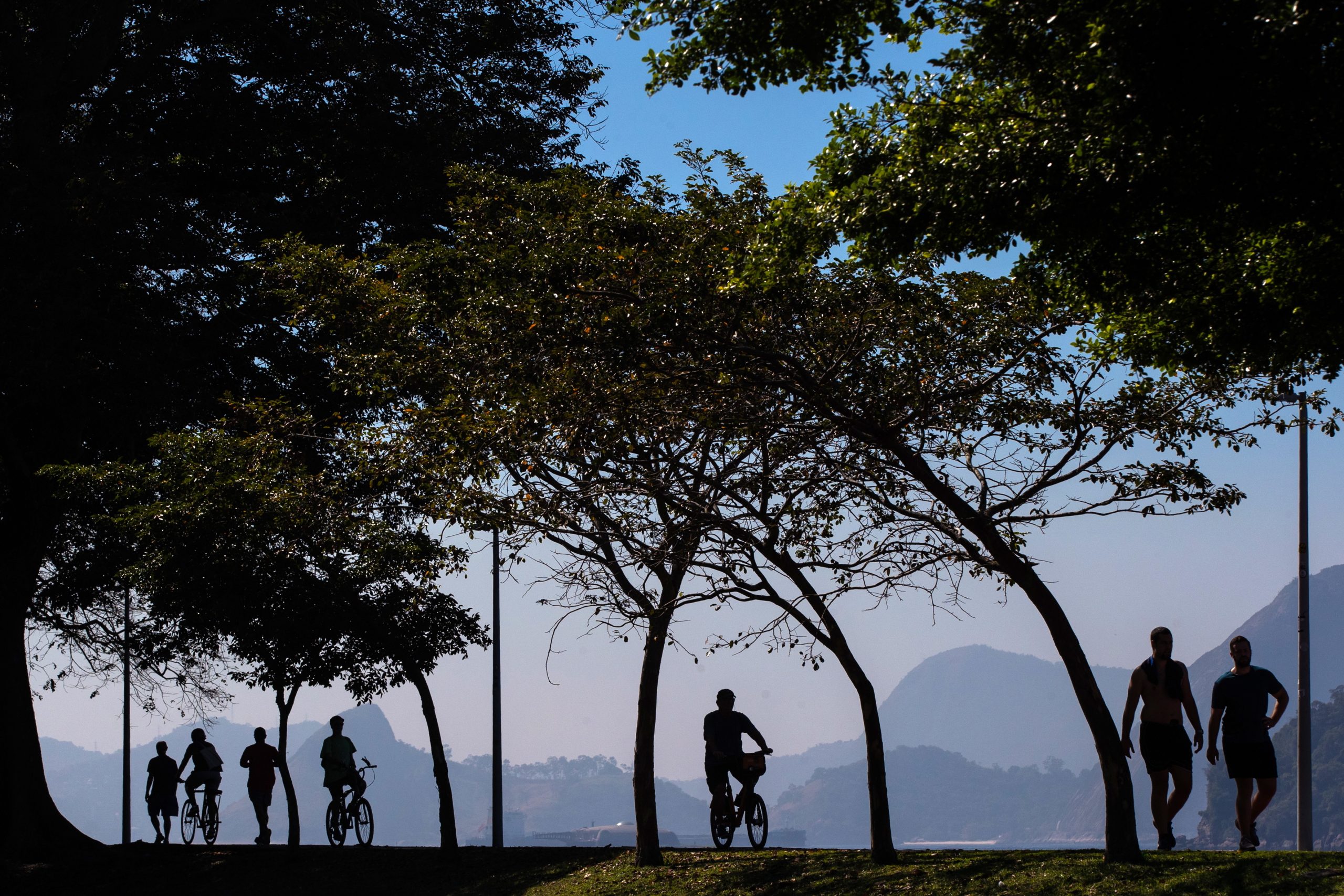Maioria da população brasileira declara-se maioritariamente miscigenada
