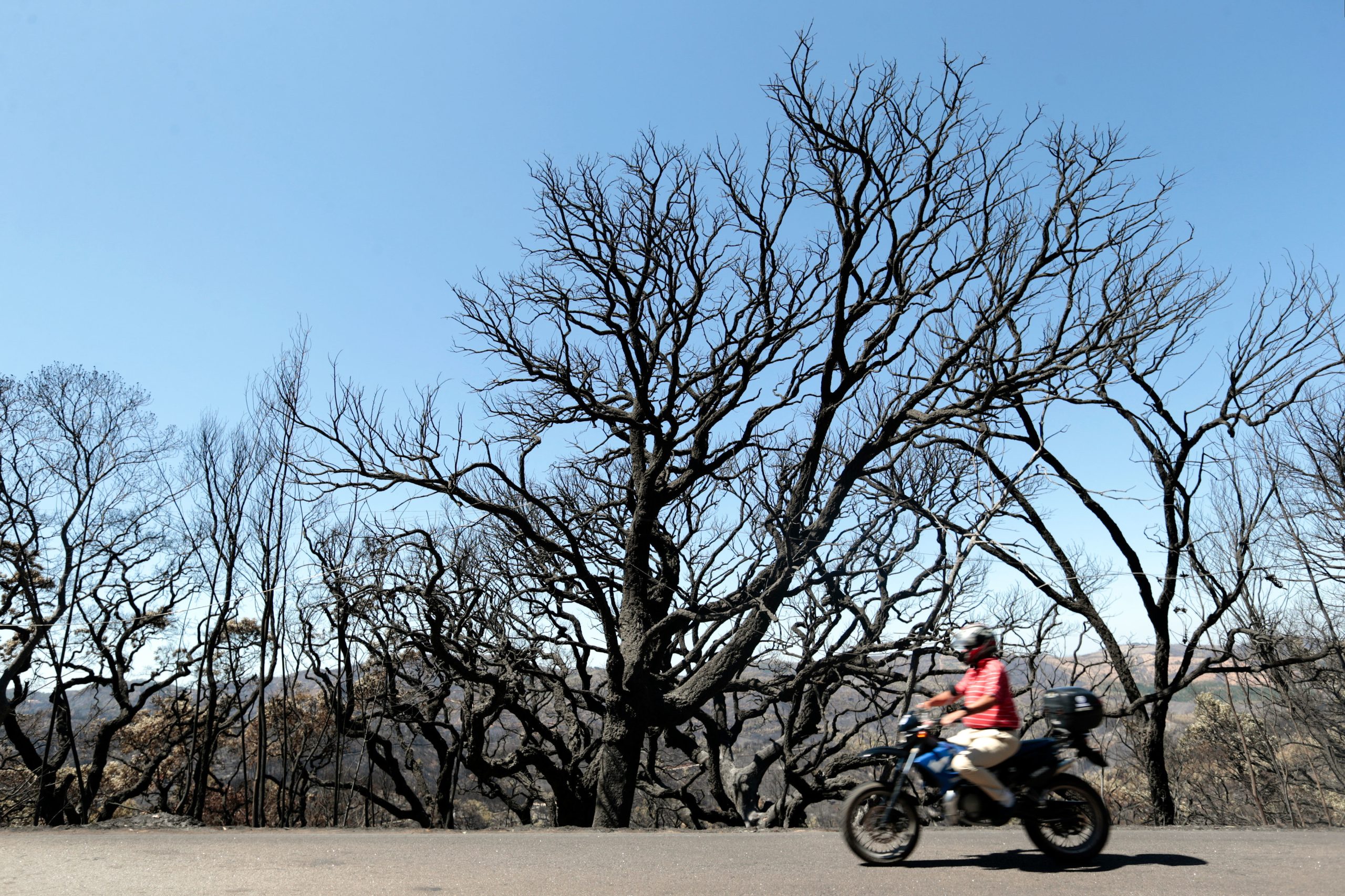 Da silvicultura às caminhadas, em Monchique fazem-se contas ao futuro