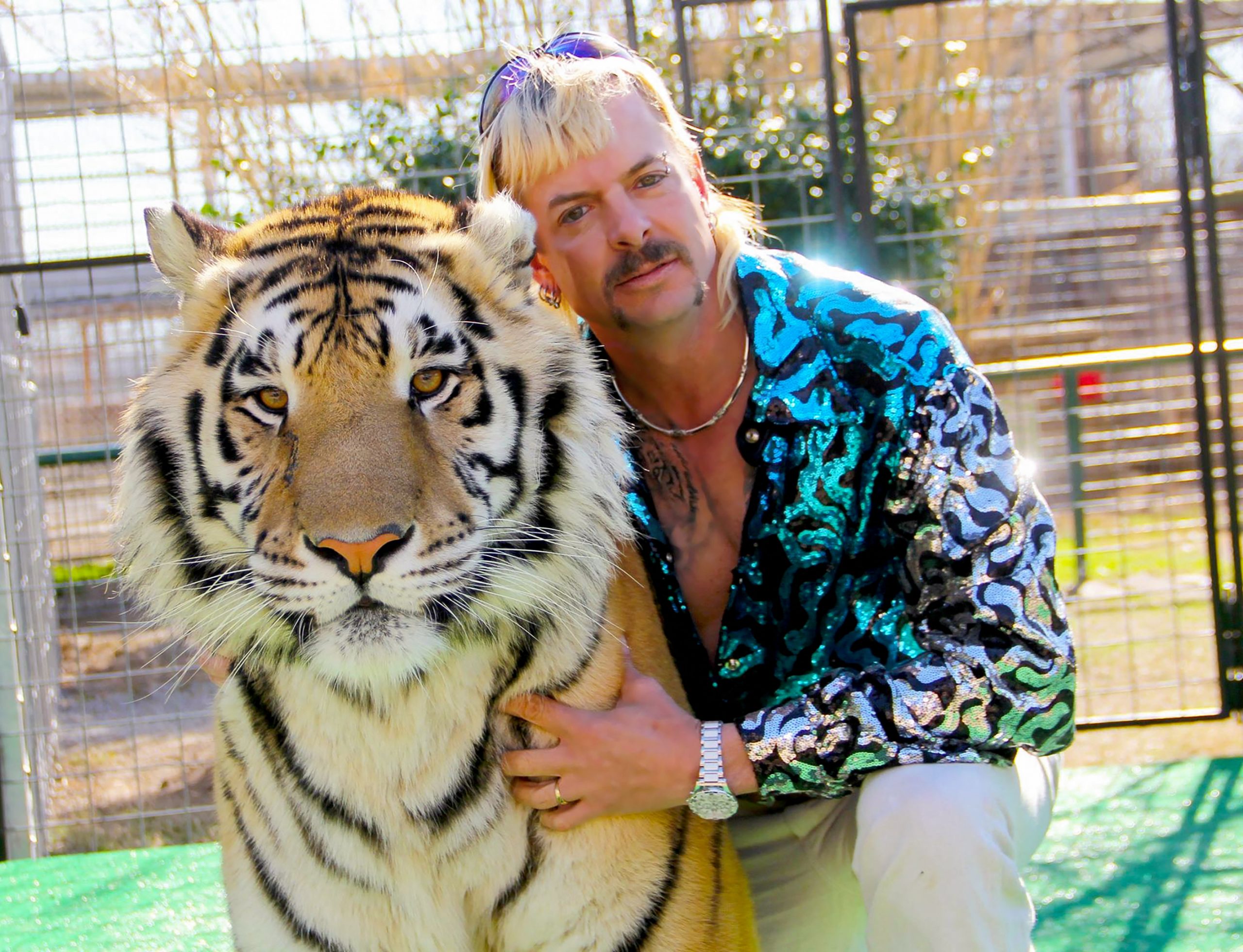 “Tiger King” condenado a 21 anos de prisão por tentar matar ativista
