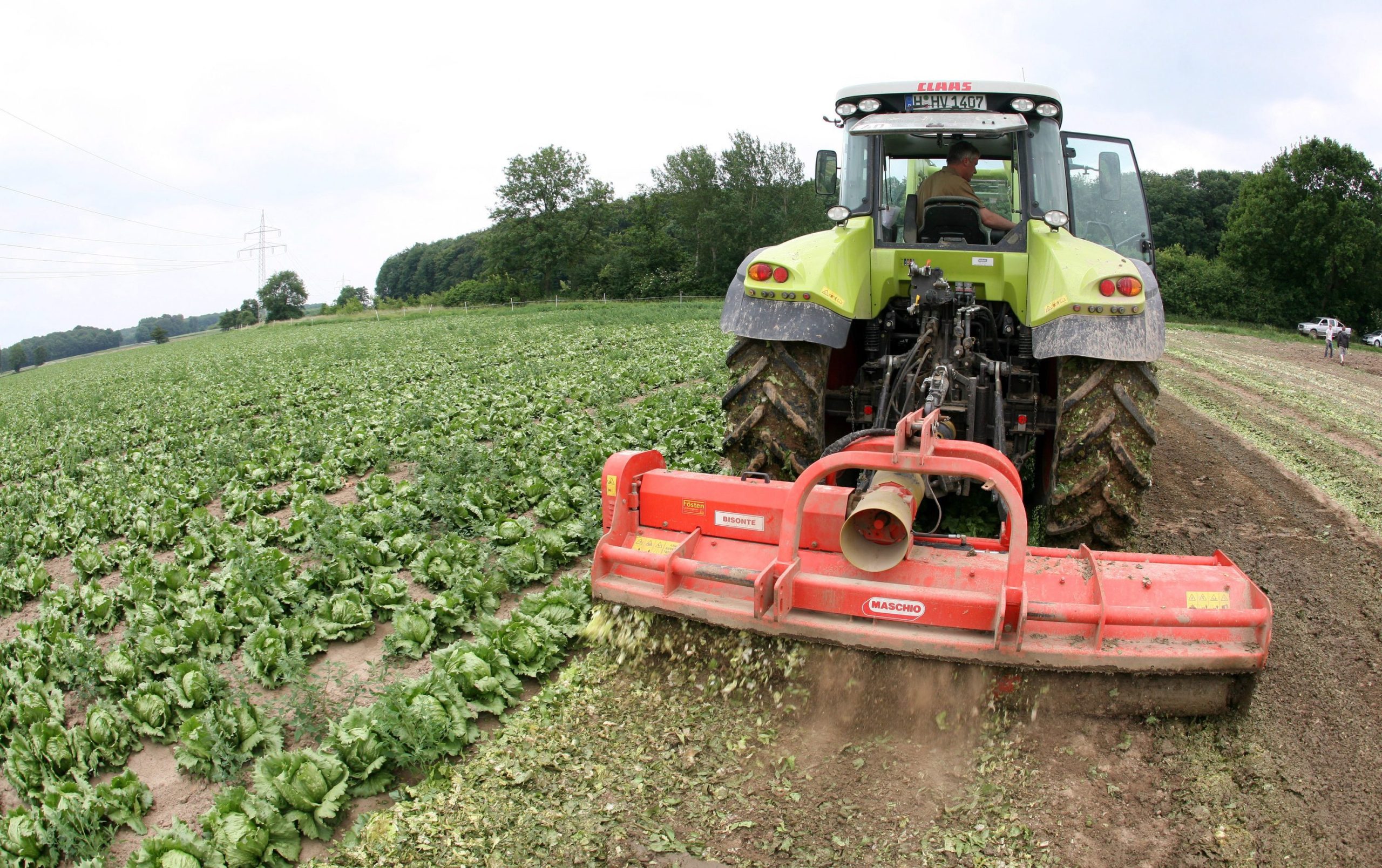 Agricultores recebem sexta-feira 463,2 milhões de euros de apoios