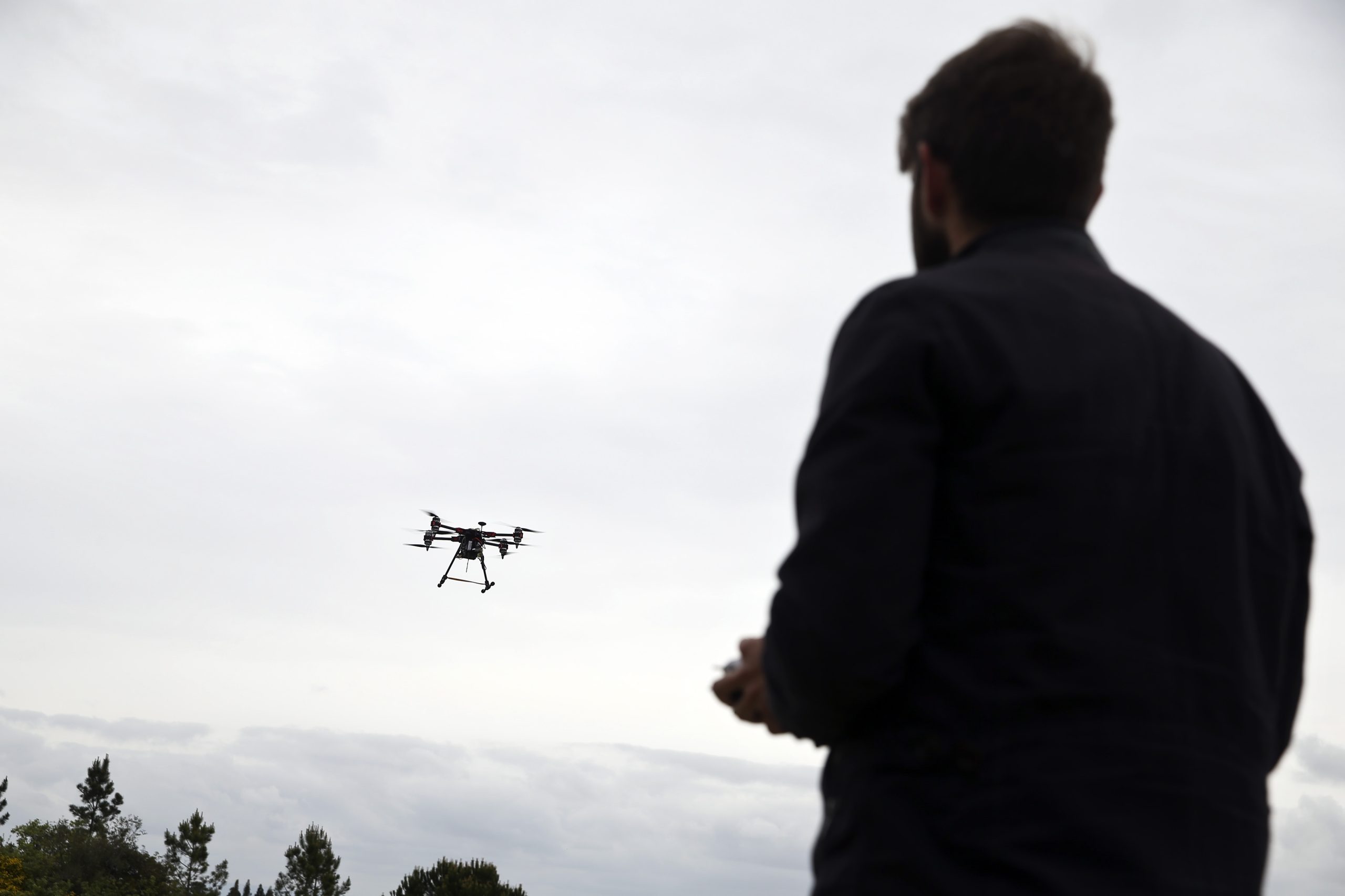 Drone em Montemor-o-Velho repele vespa velutina que invade região Centro