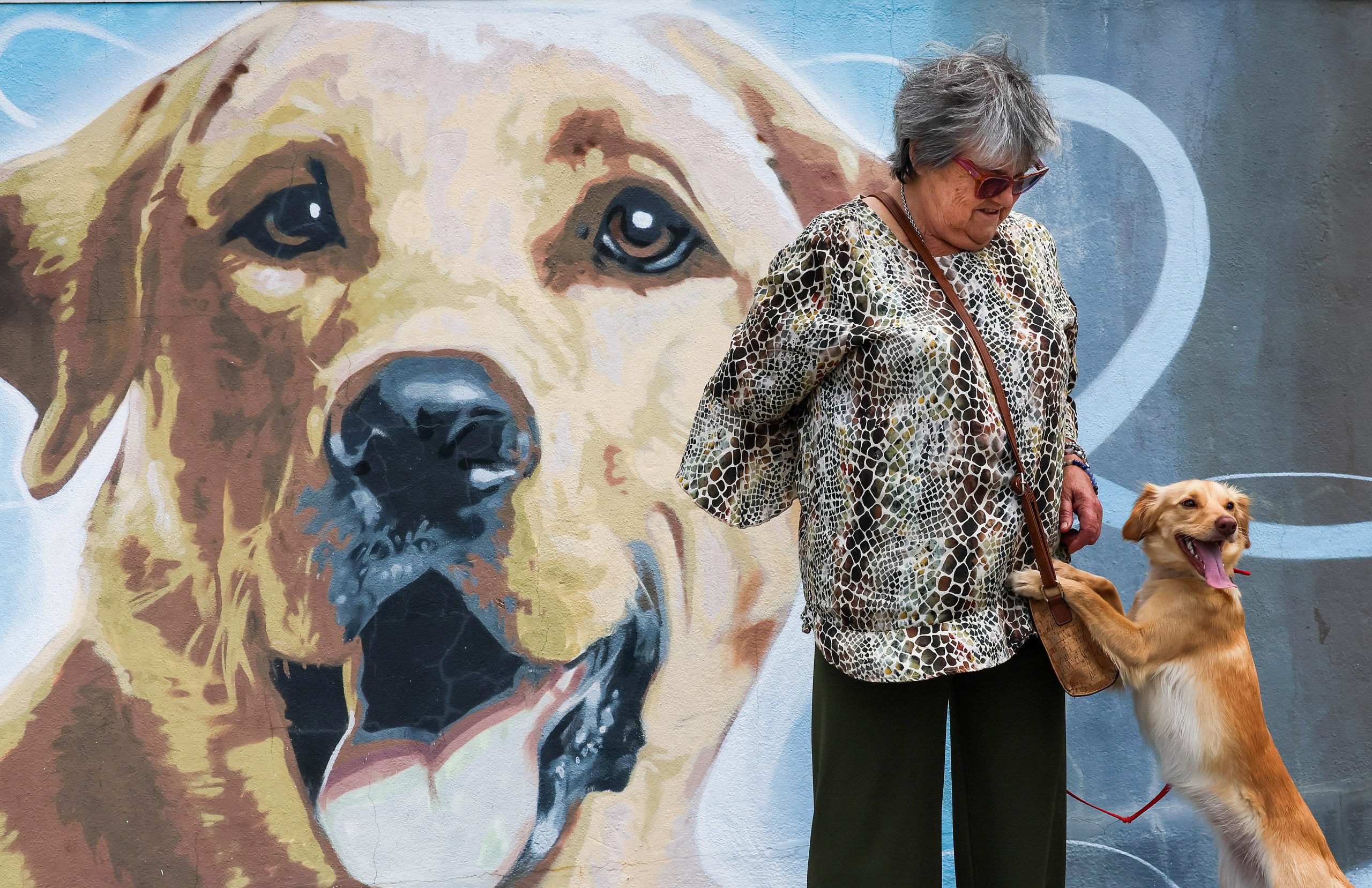 Retalho de produtos para animais é a nova tendência no mercado nacional