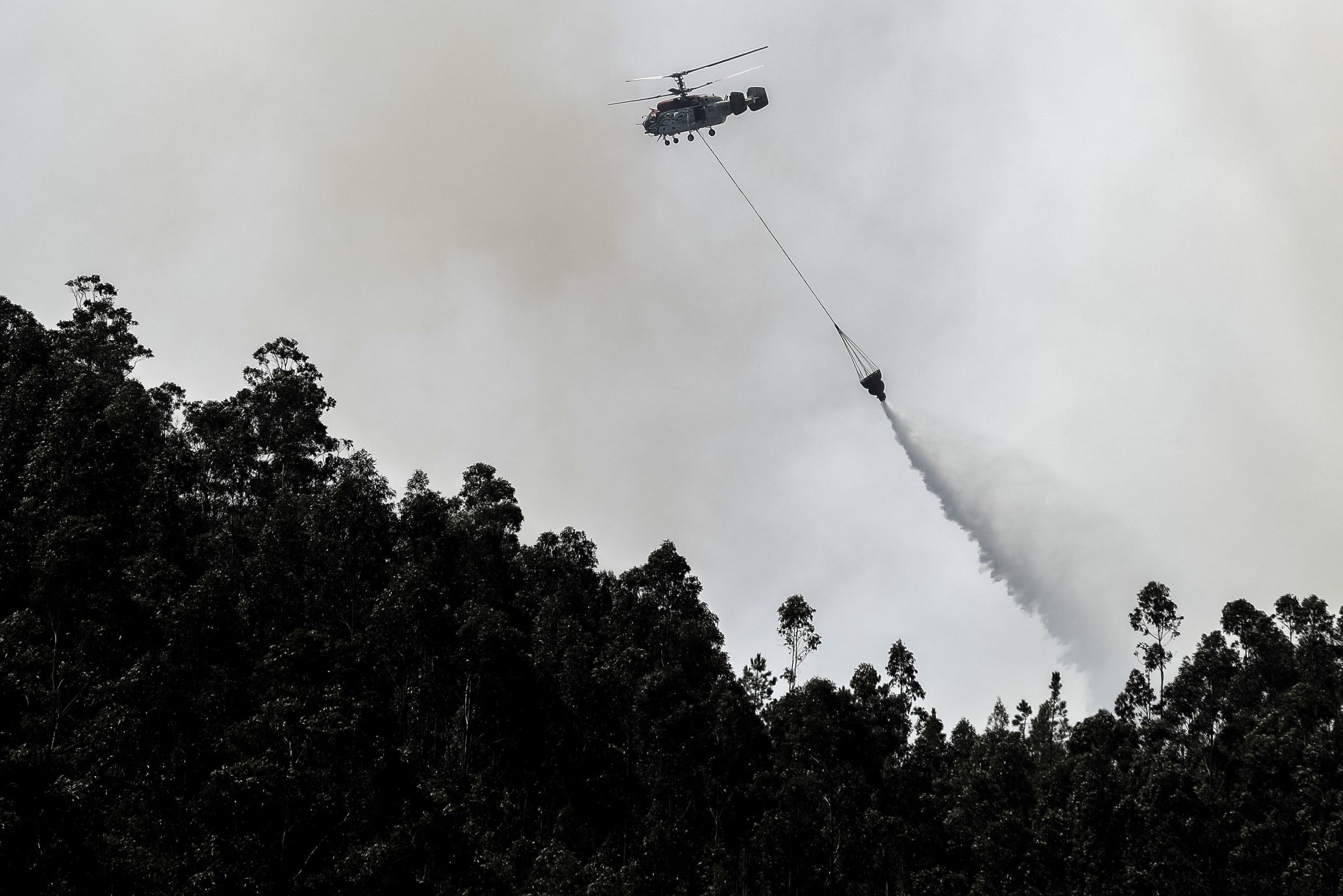 Incêndios. Fogo em Condeixa-a-Nova está em fase de resolução