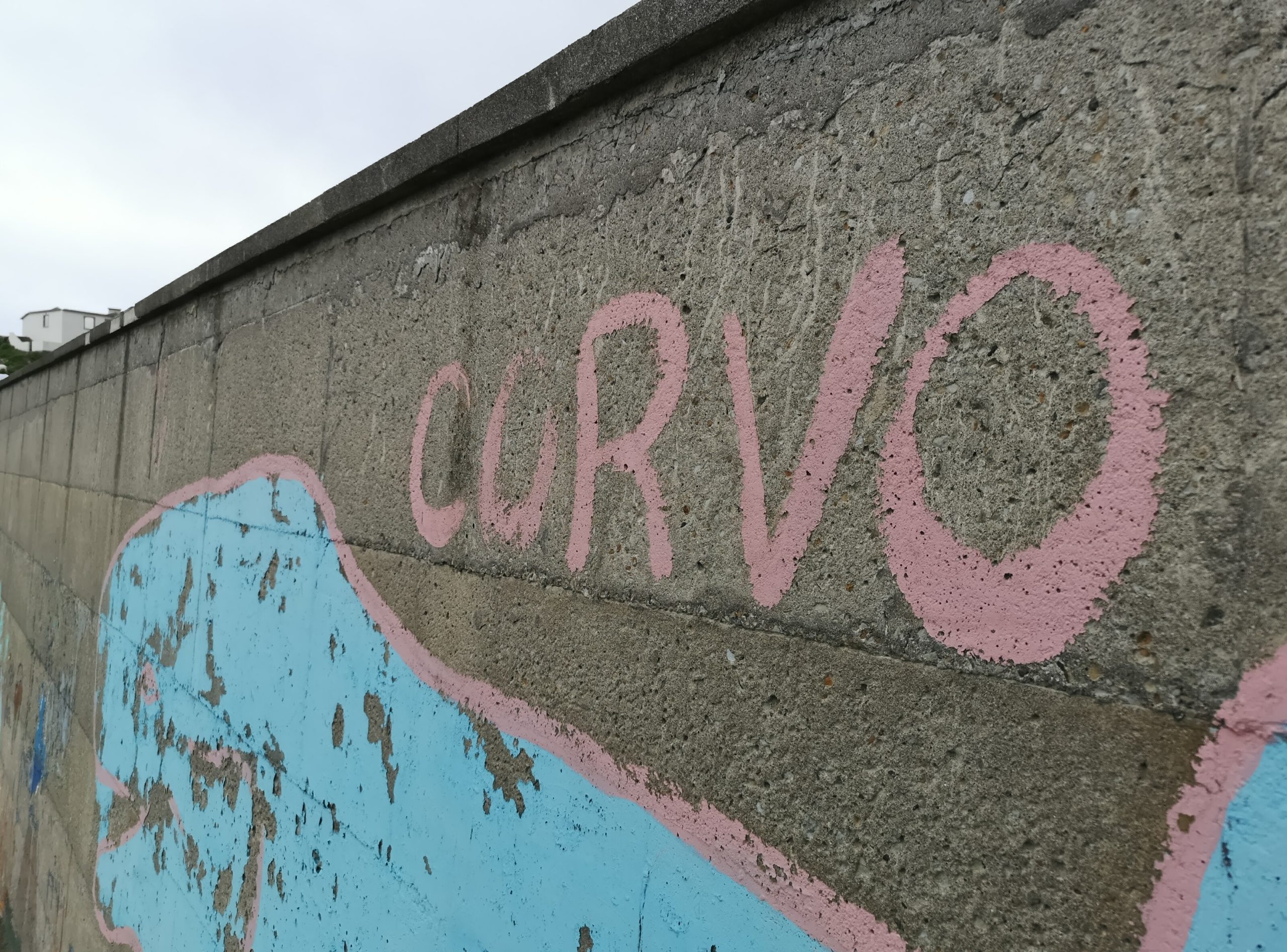 Força Aérea entrega quatro toneladas de bens essenciais no Corvo