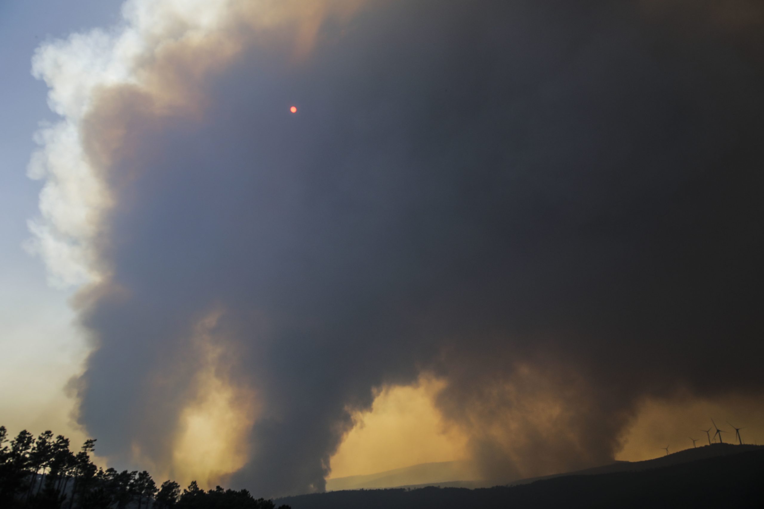 Fogo de Oleiros em julho queimou 2.900 hectares de pinheiro bravo