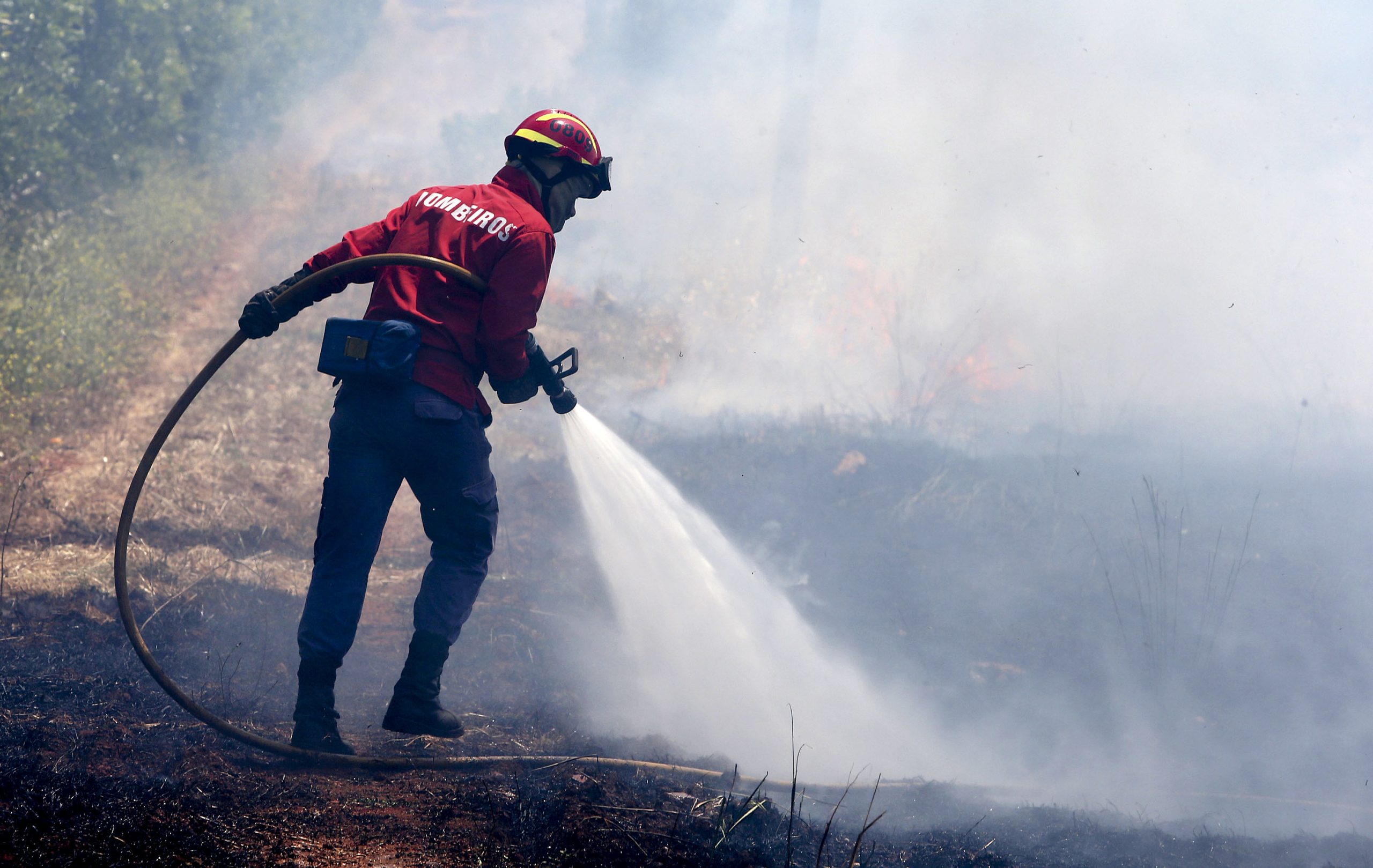 Dominado incêndio no Sabugal