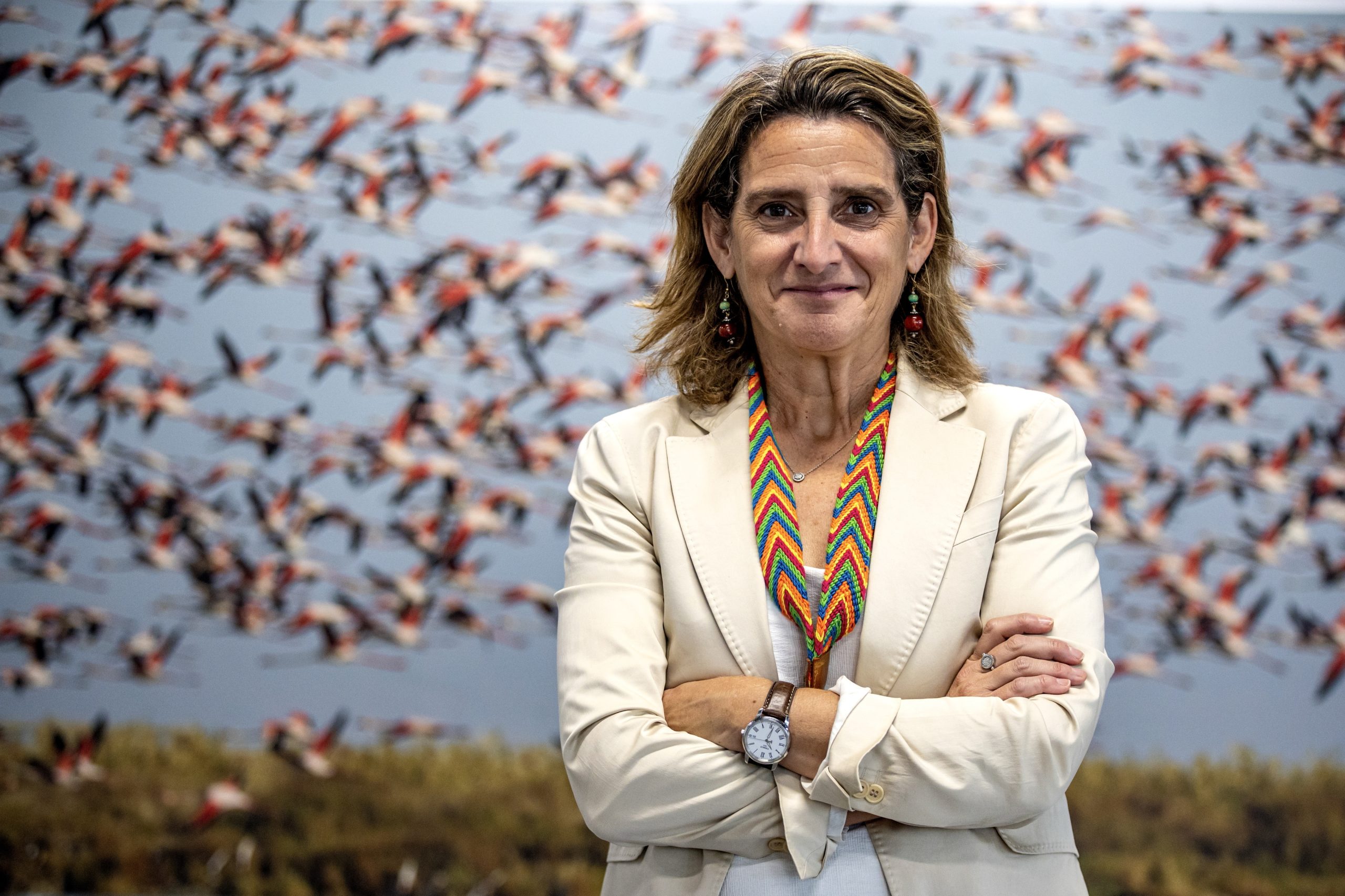 Ministra espanhola denuncia posição “repugnante” da OPEP