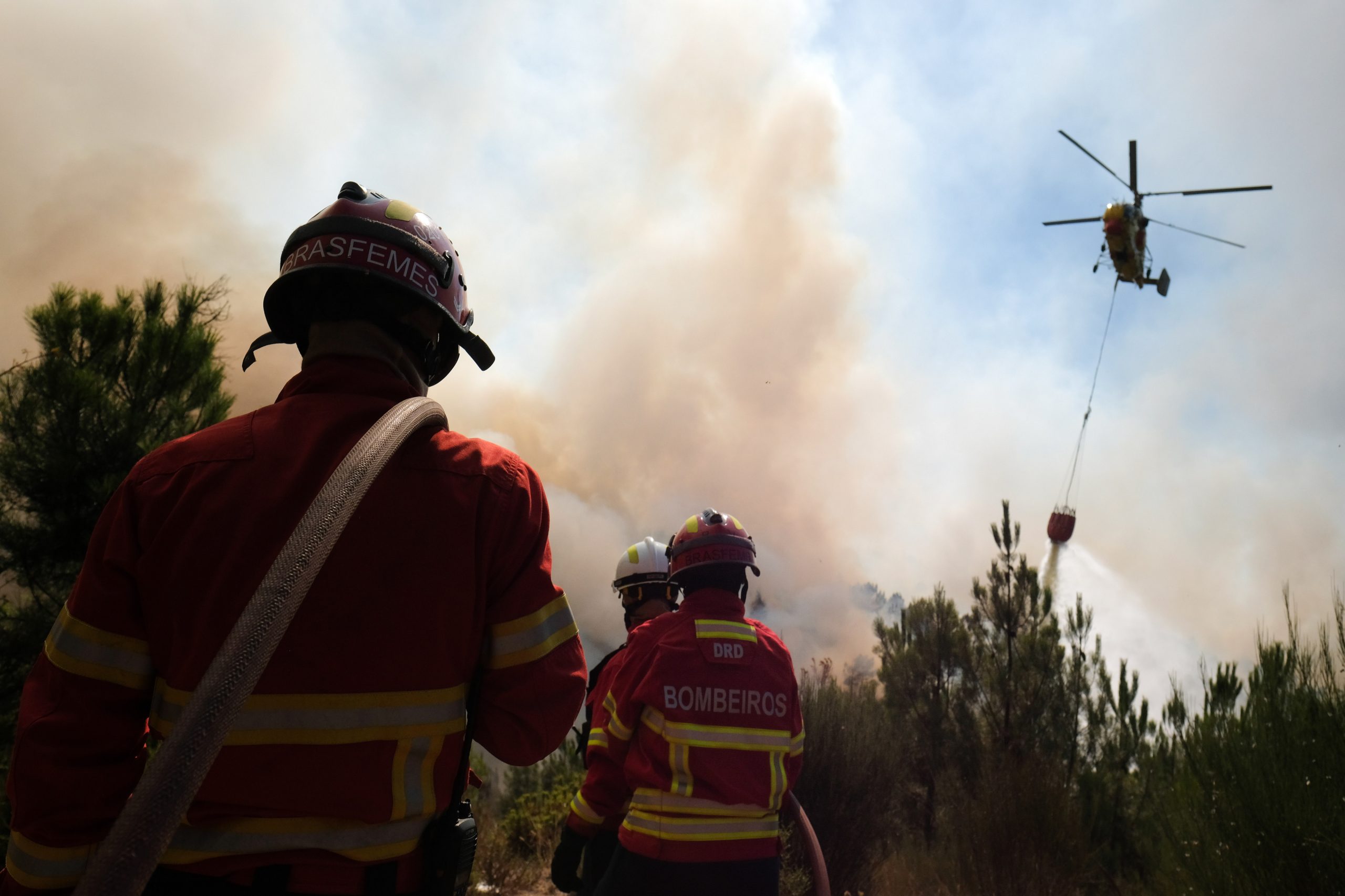 Incêndios: Associação vai reconstruir voluntariamente infantário em Midões, Tábua