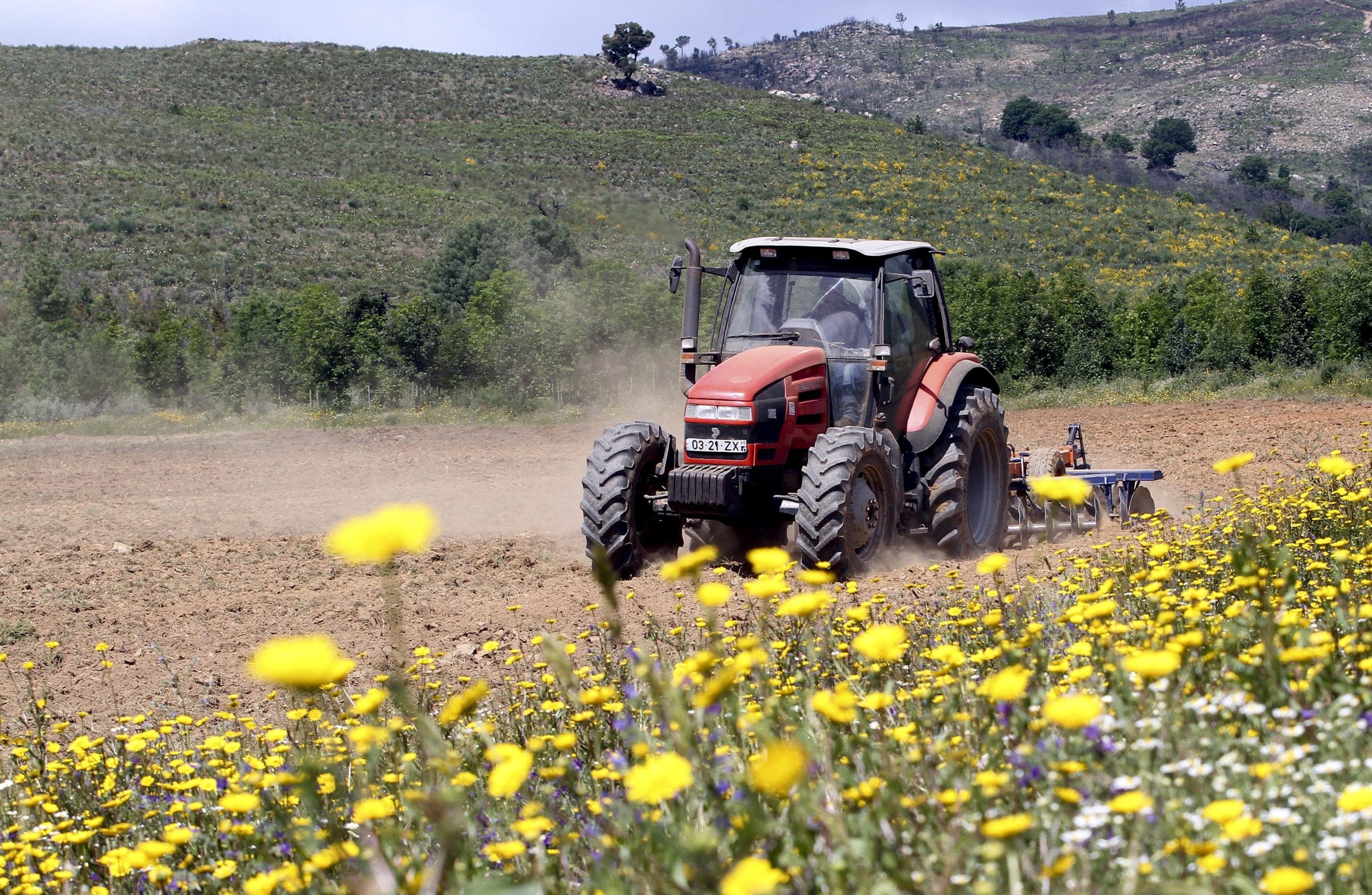 Cooperativas pedem a Bruxelas política agrícola mais forte e justa